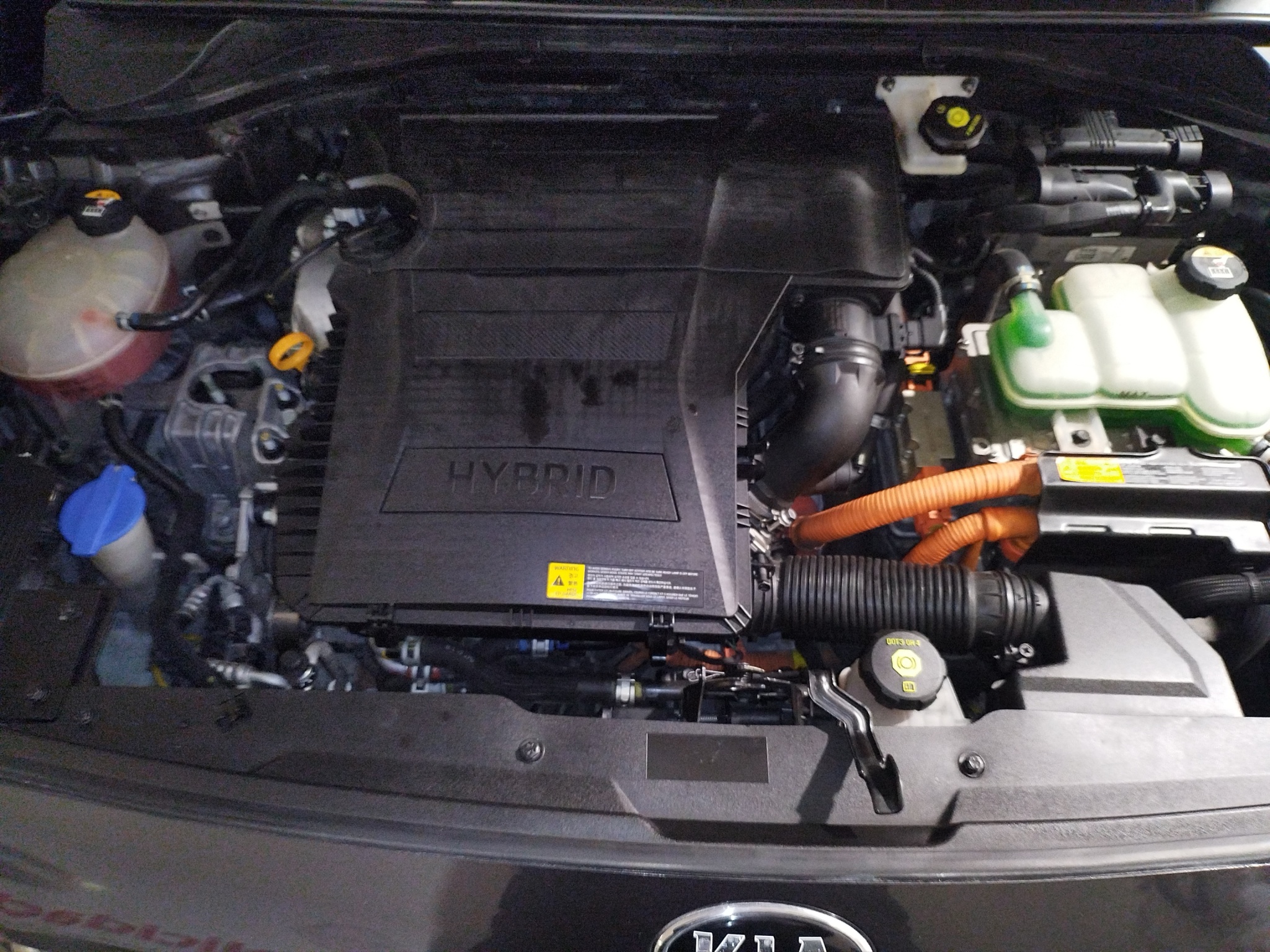 KIA Niro VUD 5 pts. EX, HEV, TA, a/ac., piel, QC, f. xenón, RA-18 2017