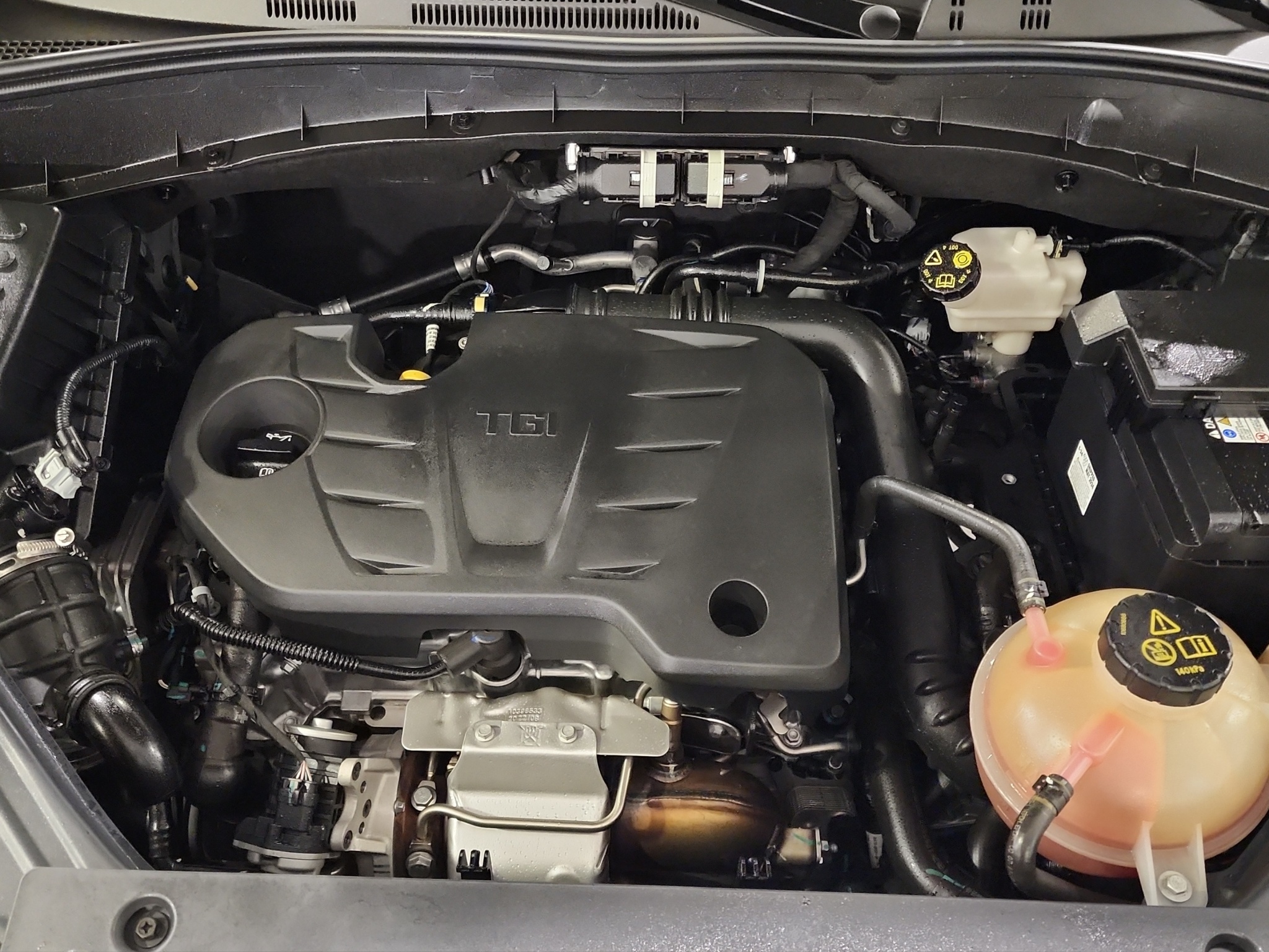 MG RX5 VUD 5 pts. Excite, 1.5T, TA, piel, RA-18 2024