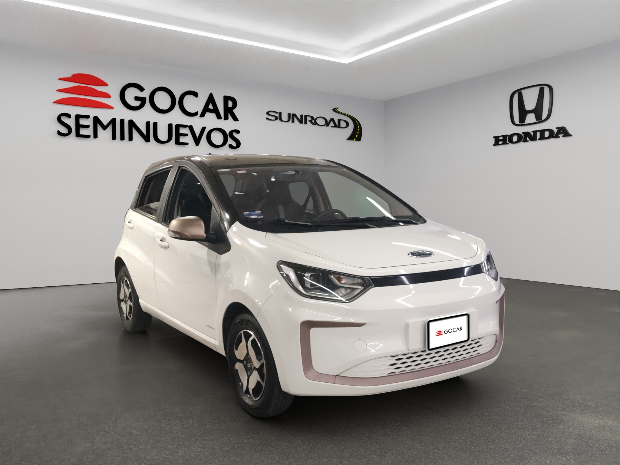 JAC E 10X 2023