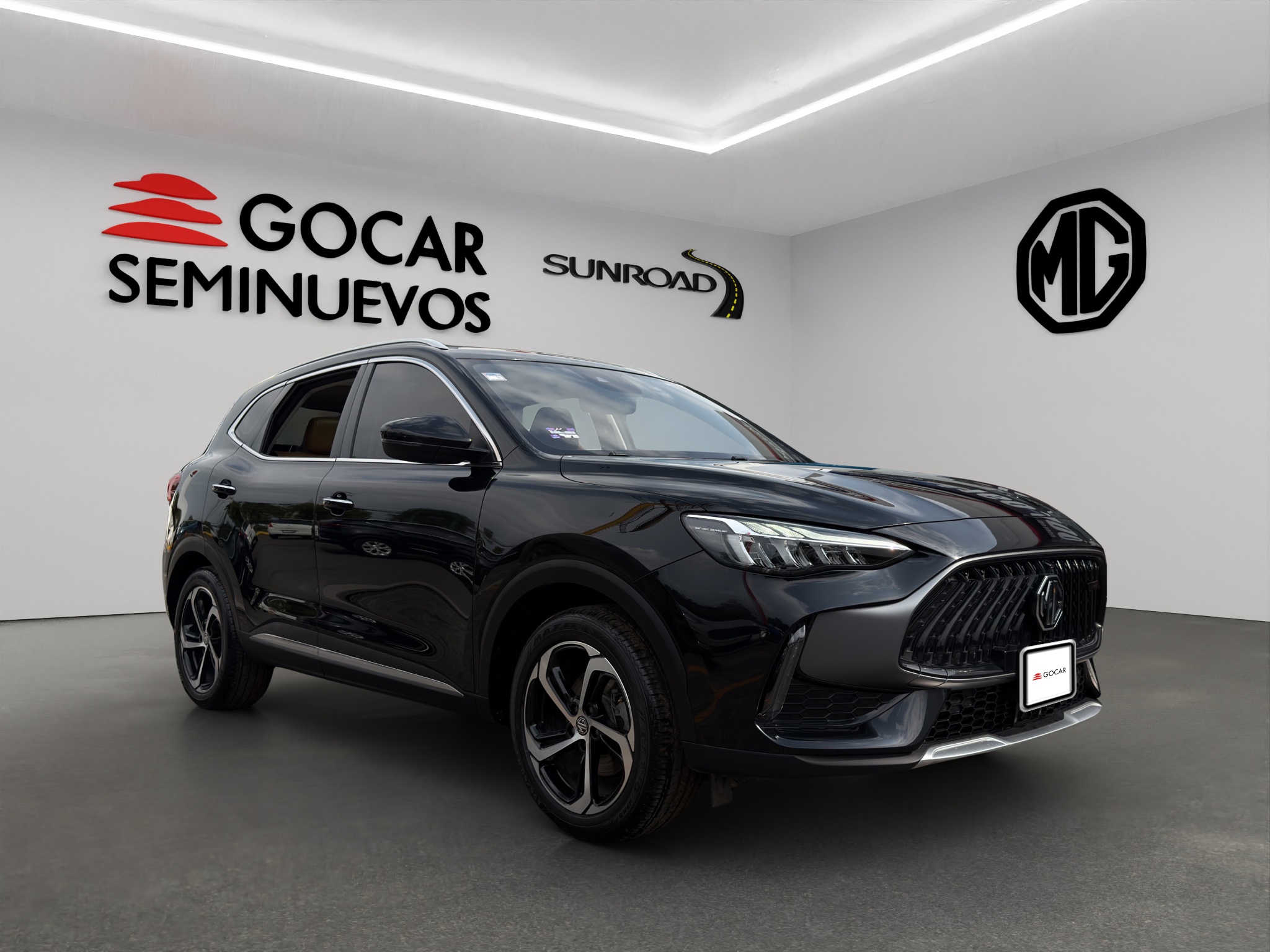 Mg Hs  2024