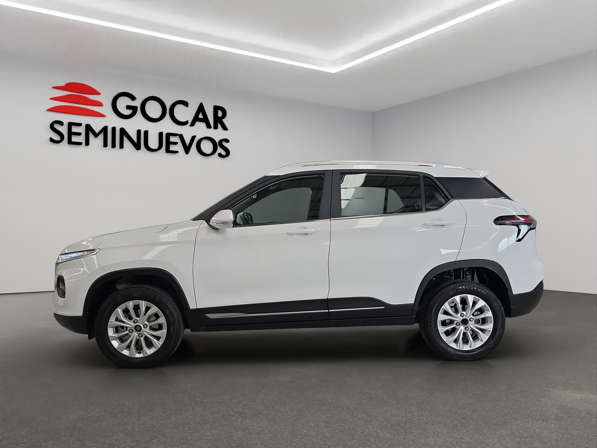 Galeria