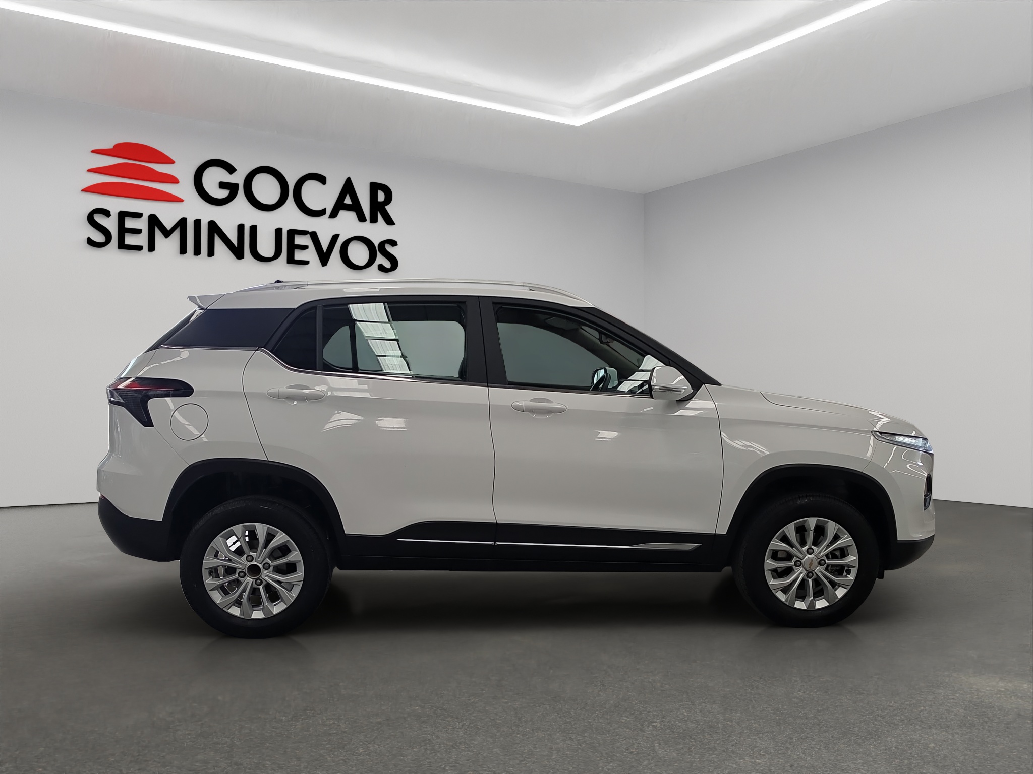 Galeria