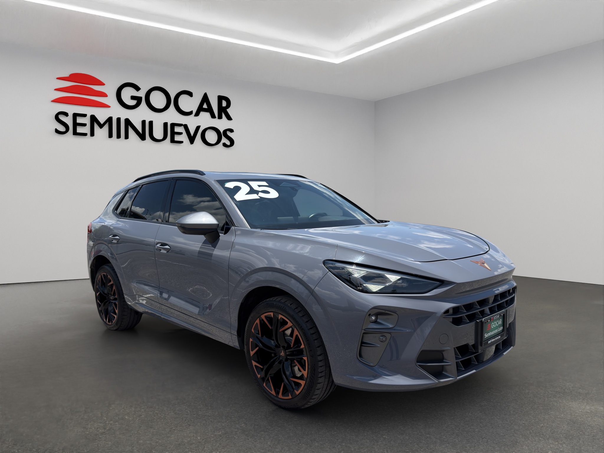 CUPRA TERRAMAR 2025