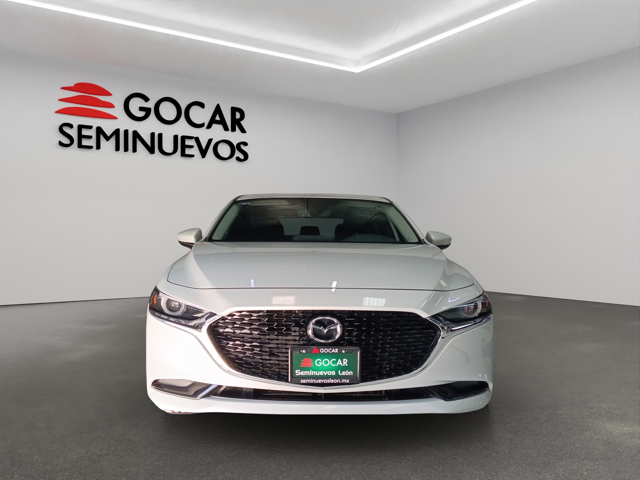 Galeria