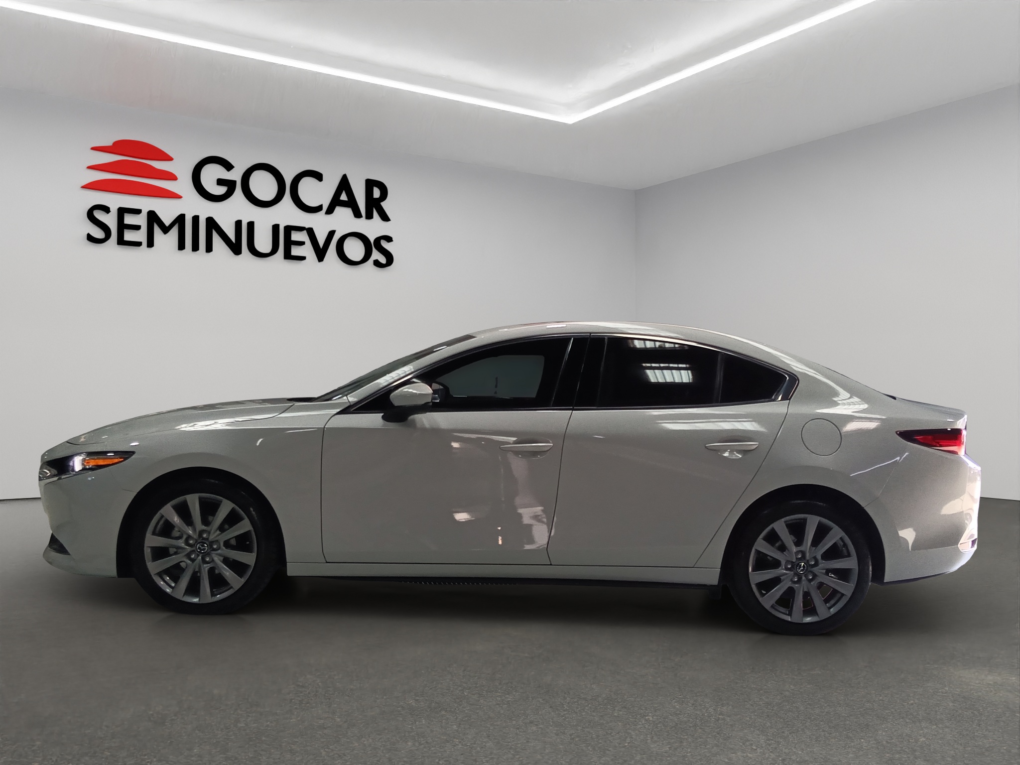 Galeria