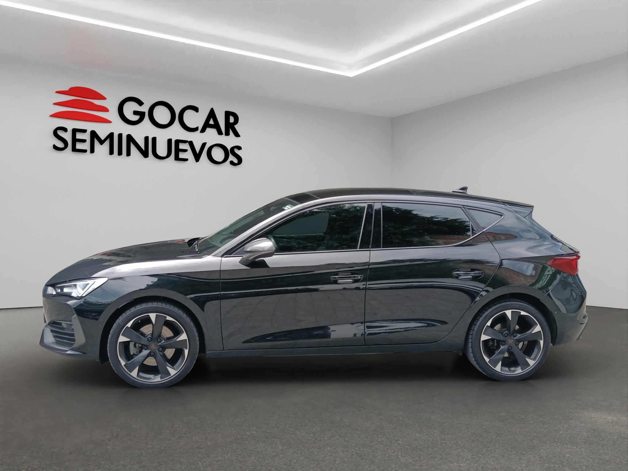 Galeria