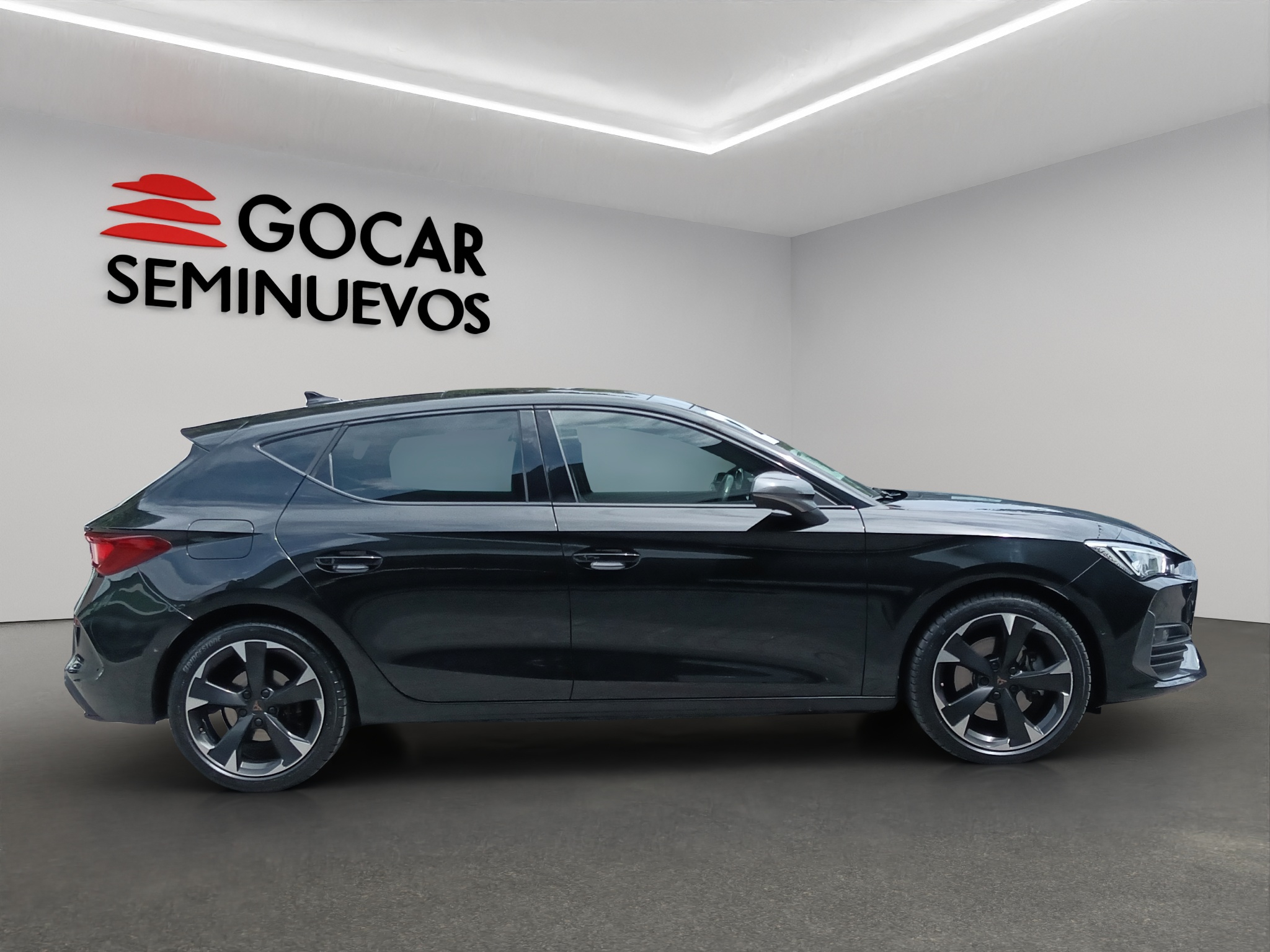 Galeria
