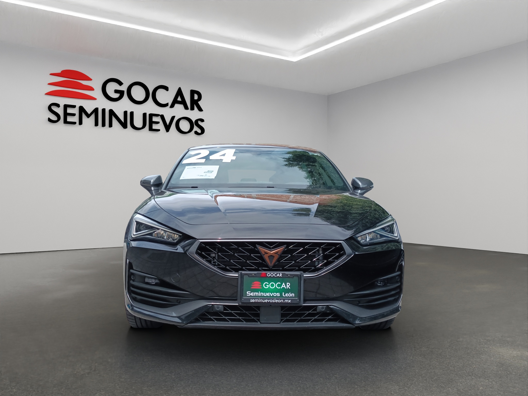 Galeria
