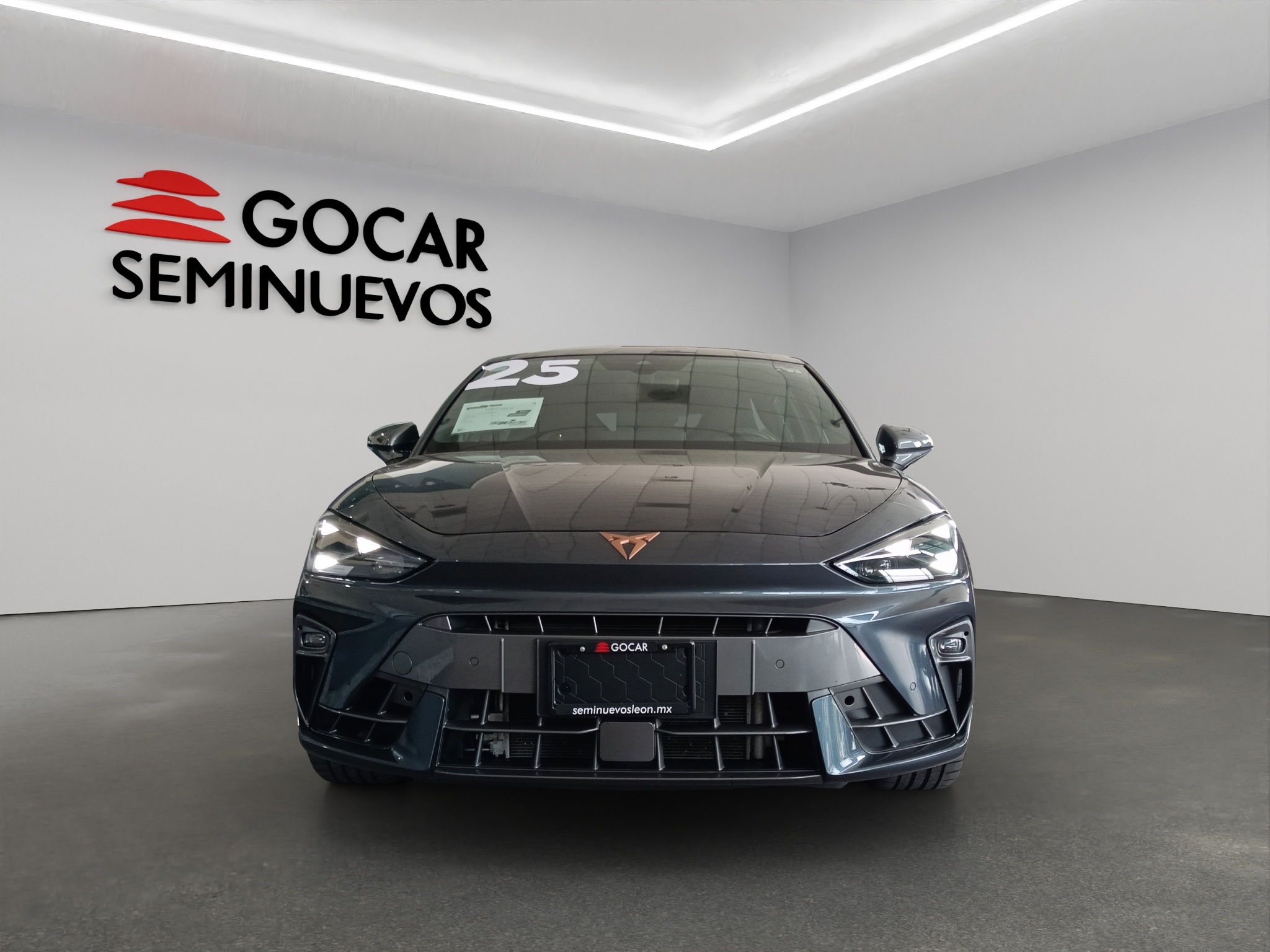 Galeria
