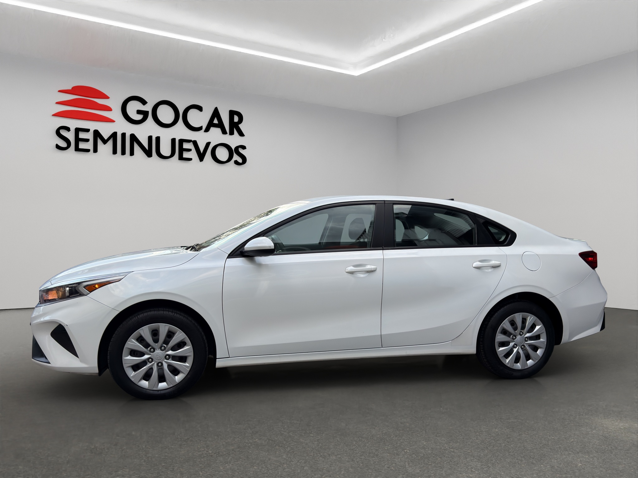 Galeria