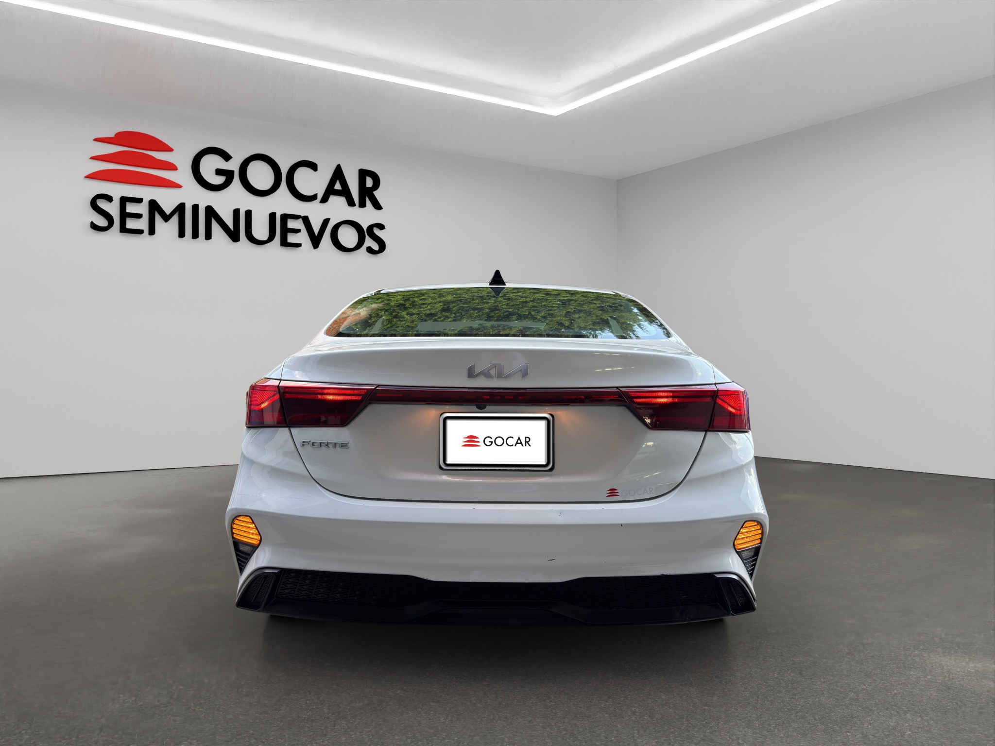 Galeria