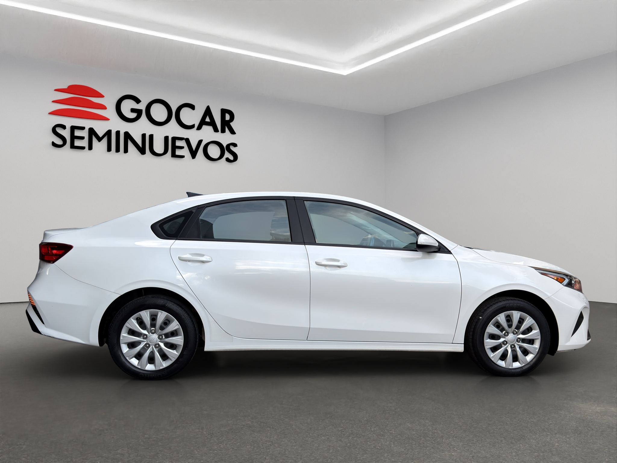 Galeria