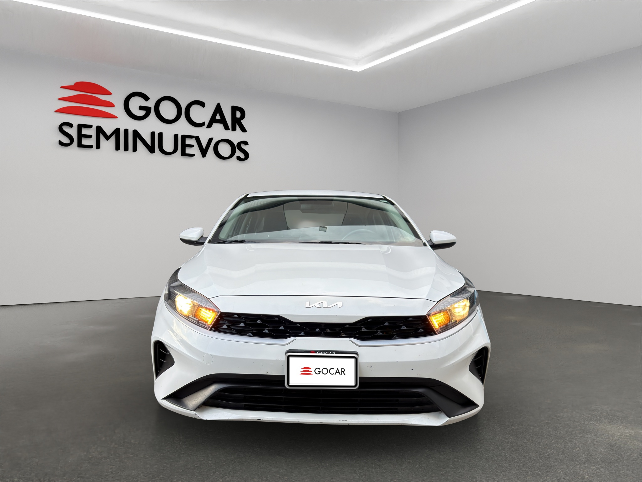 Galeria