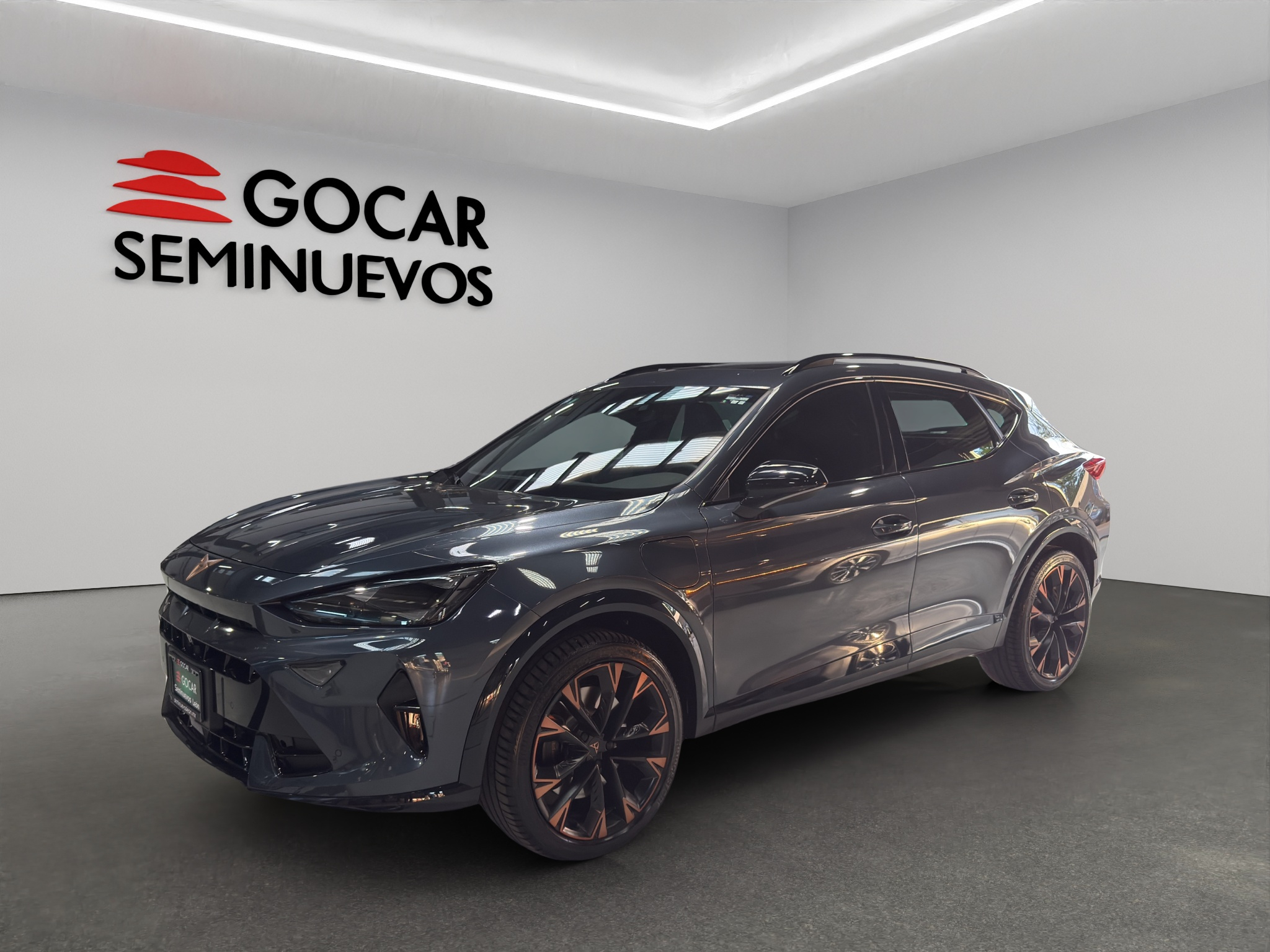 Galeria