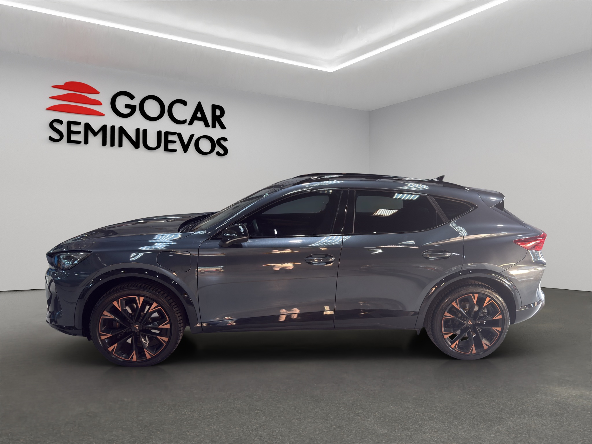 Galeria