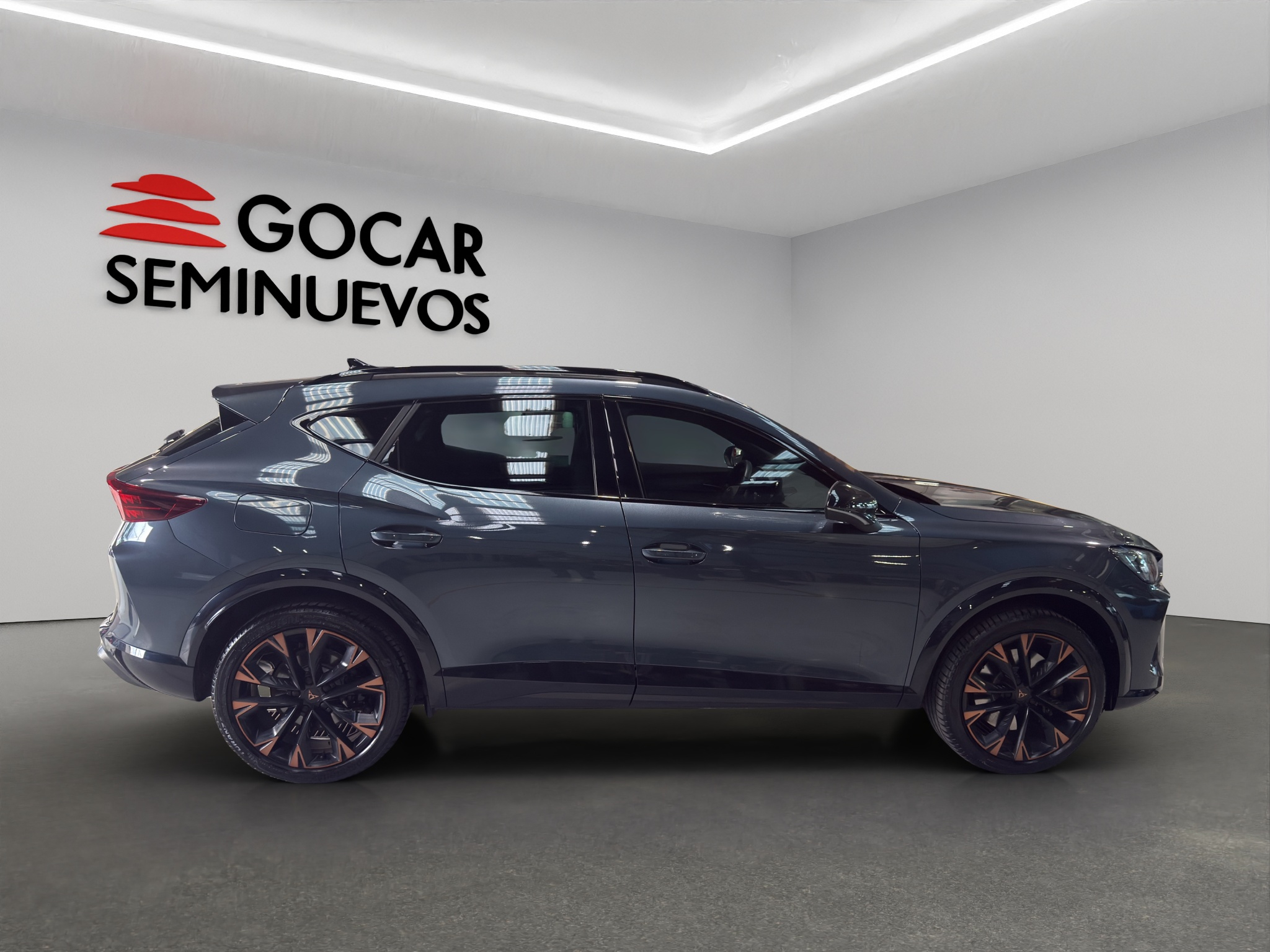 Galeria