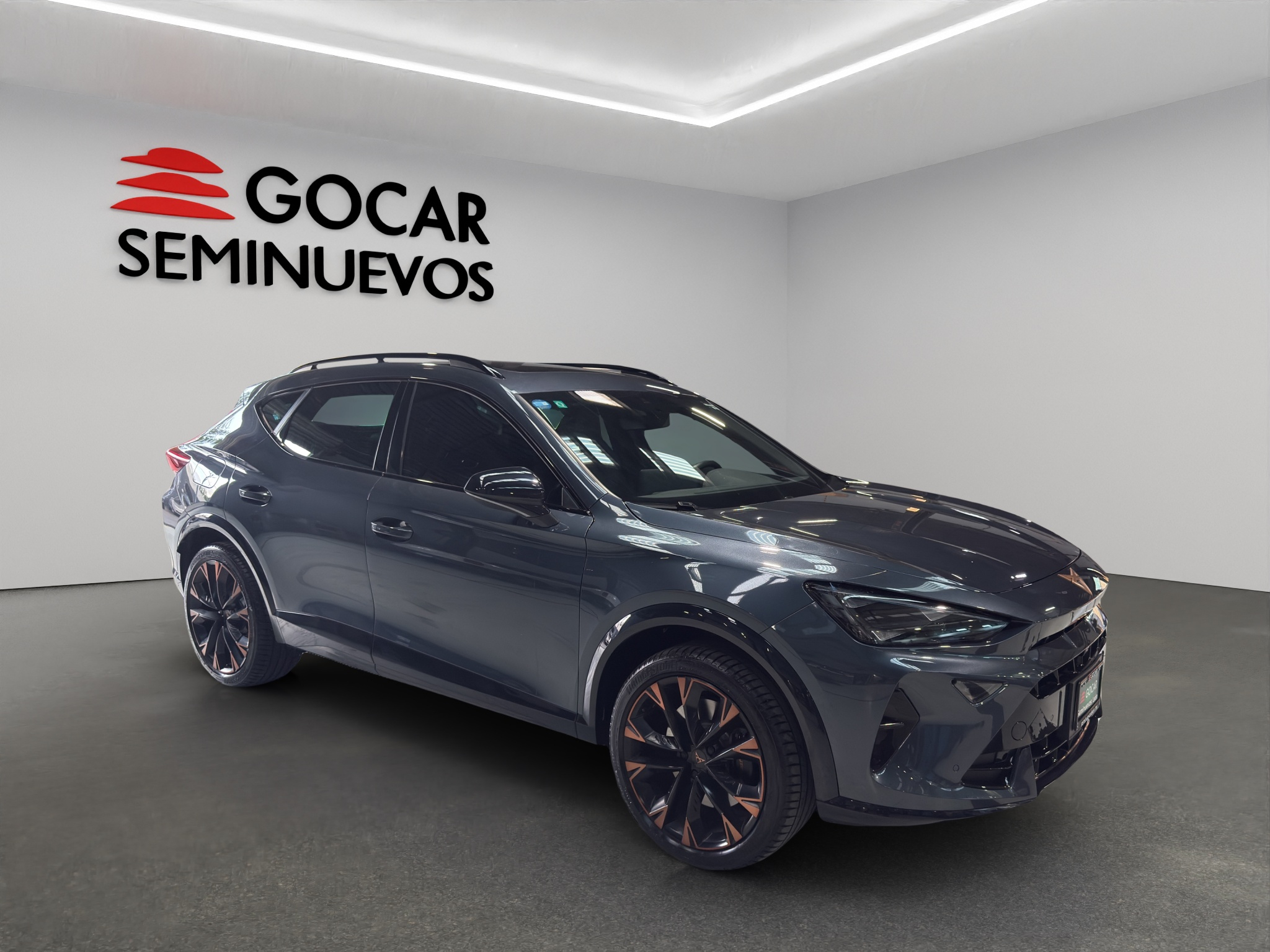 CUPRA TERRAMAR 2025