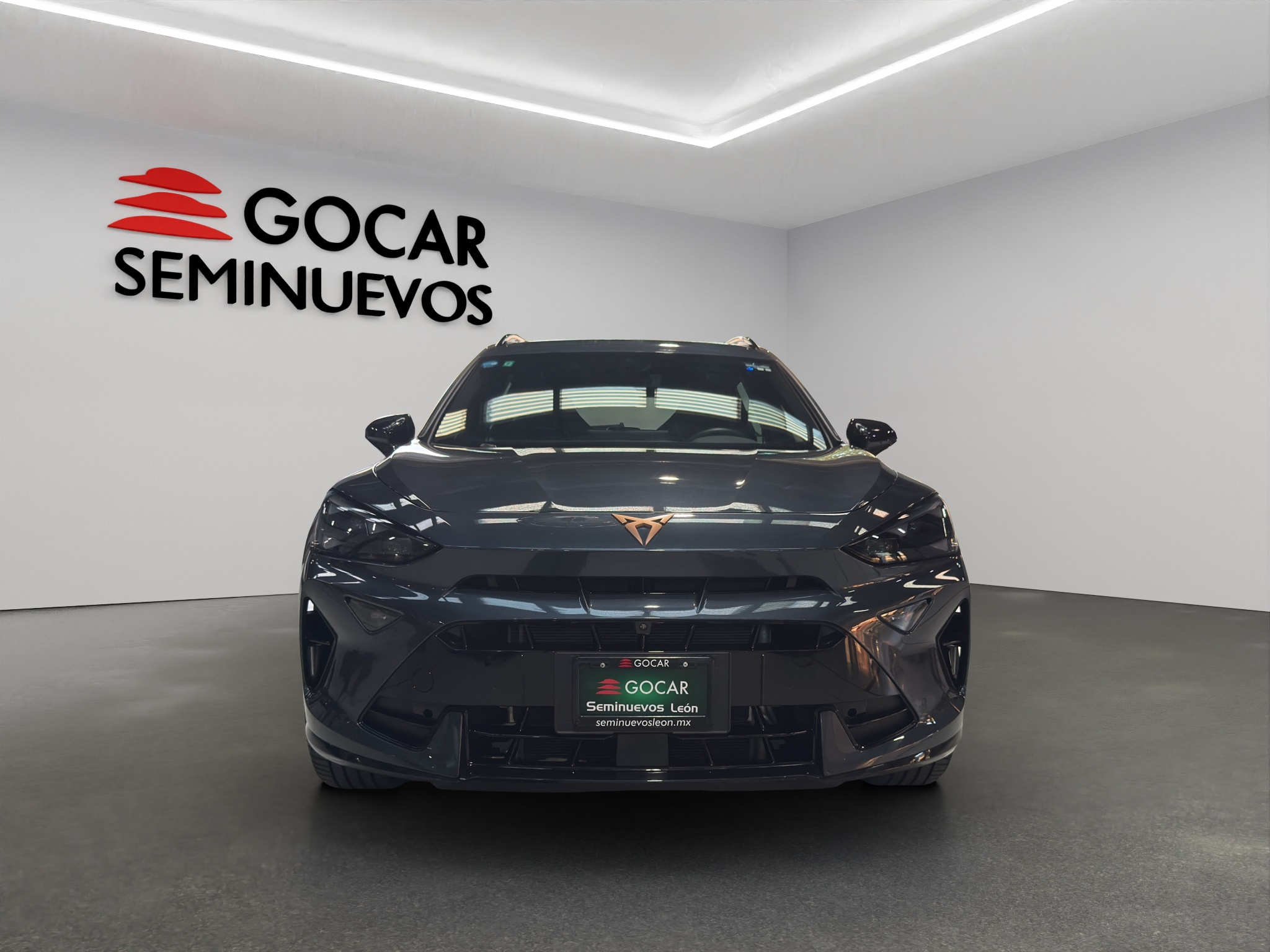 Galeria