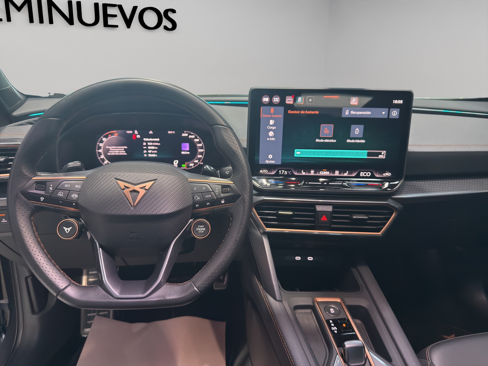 Galeria