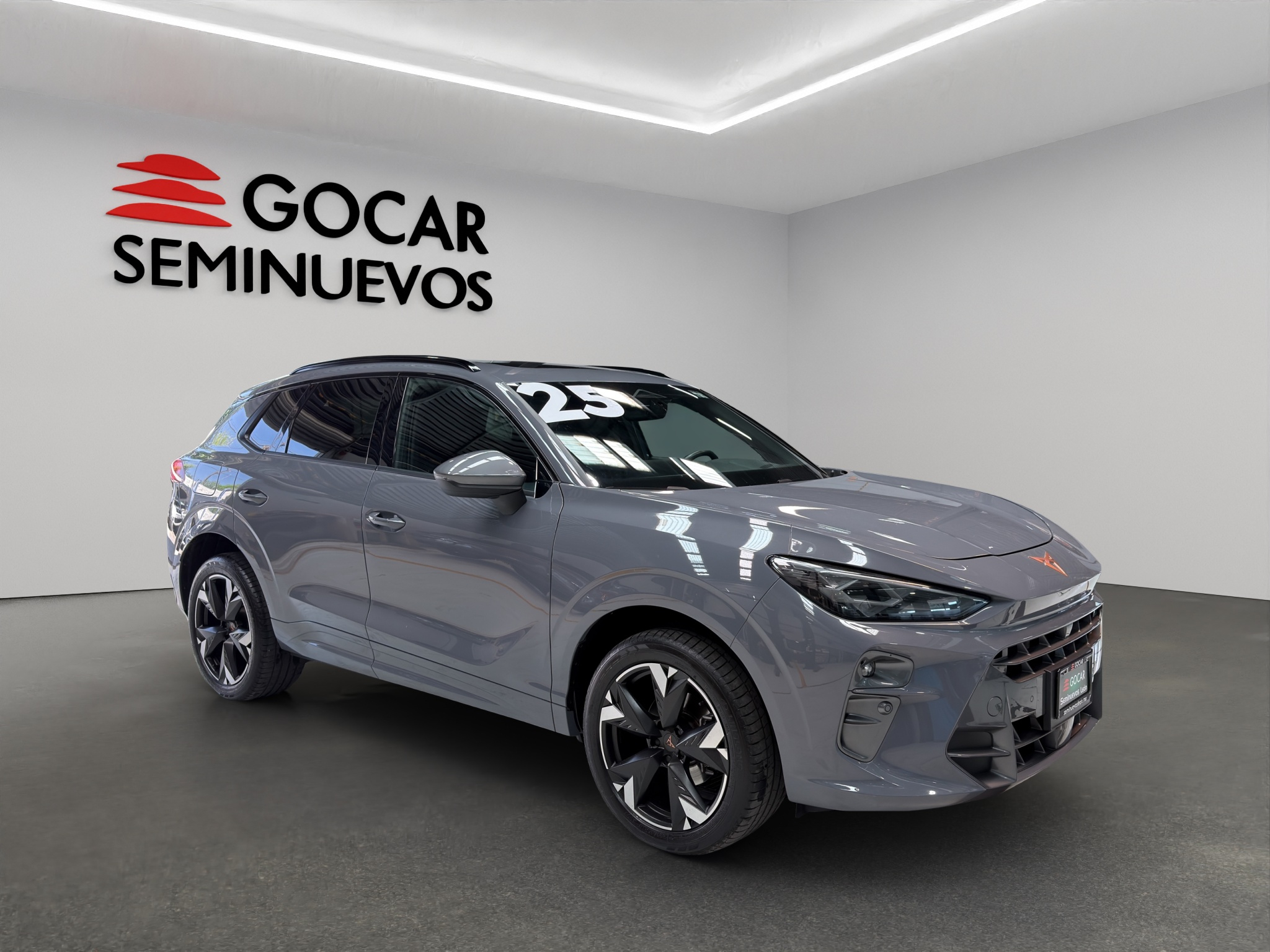 CUPRA TERRAMAR 2025