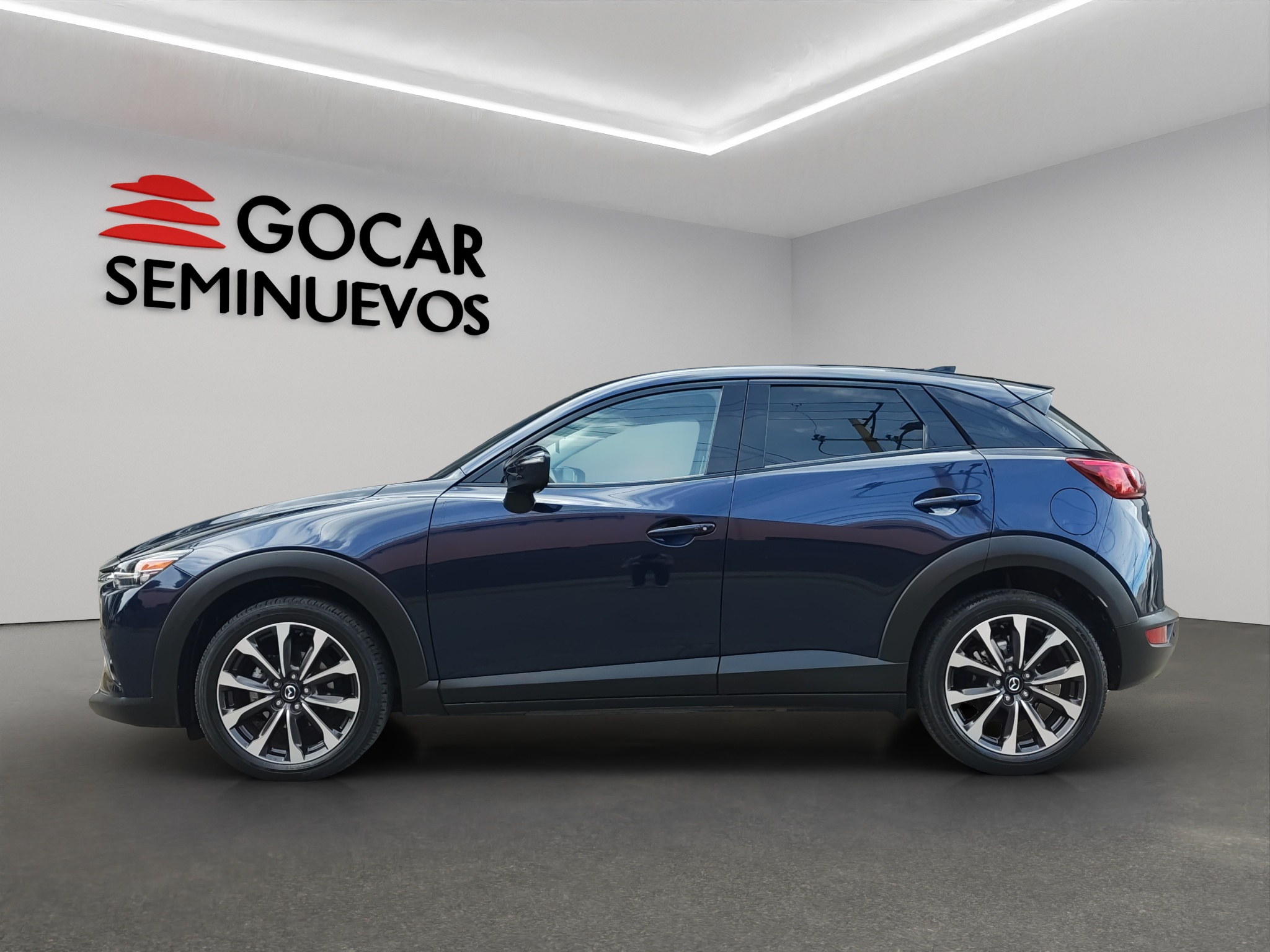 Galeria