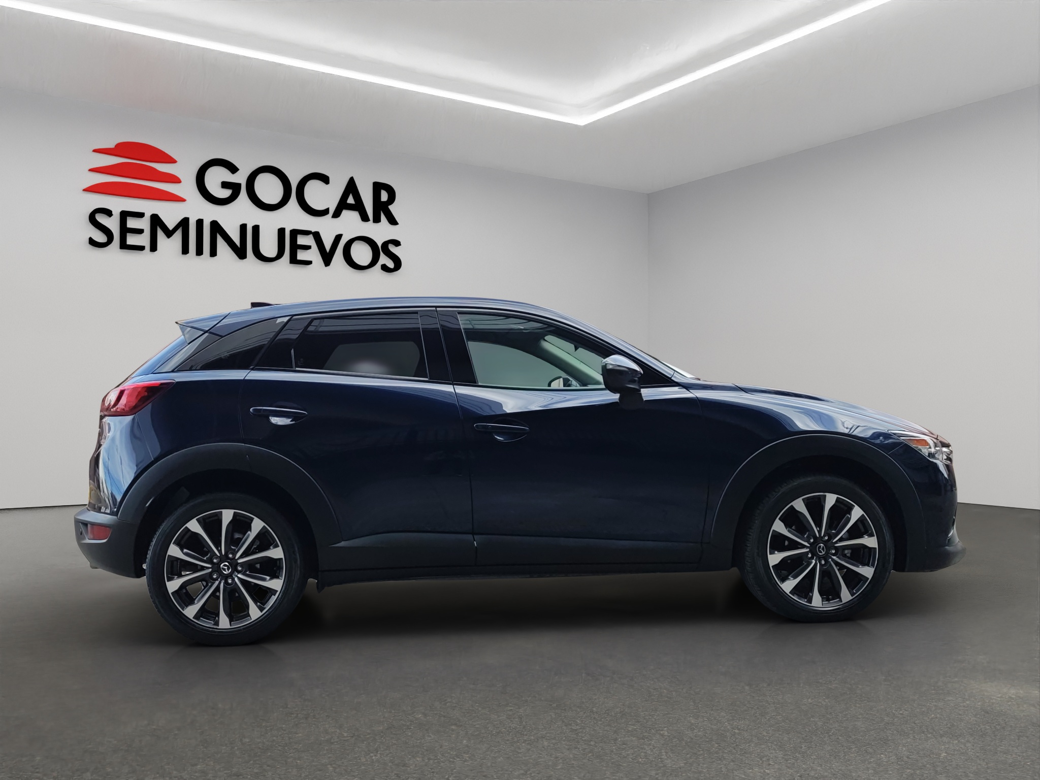 Galeria