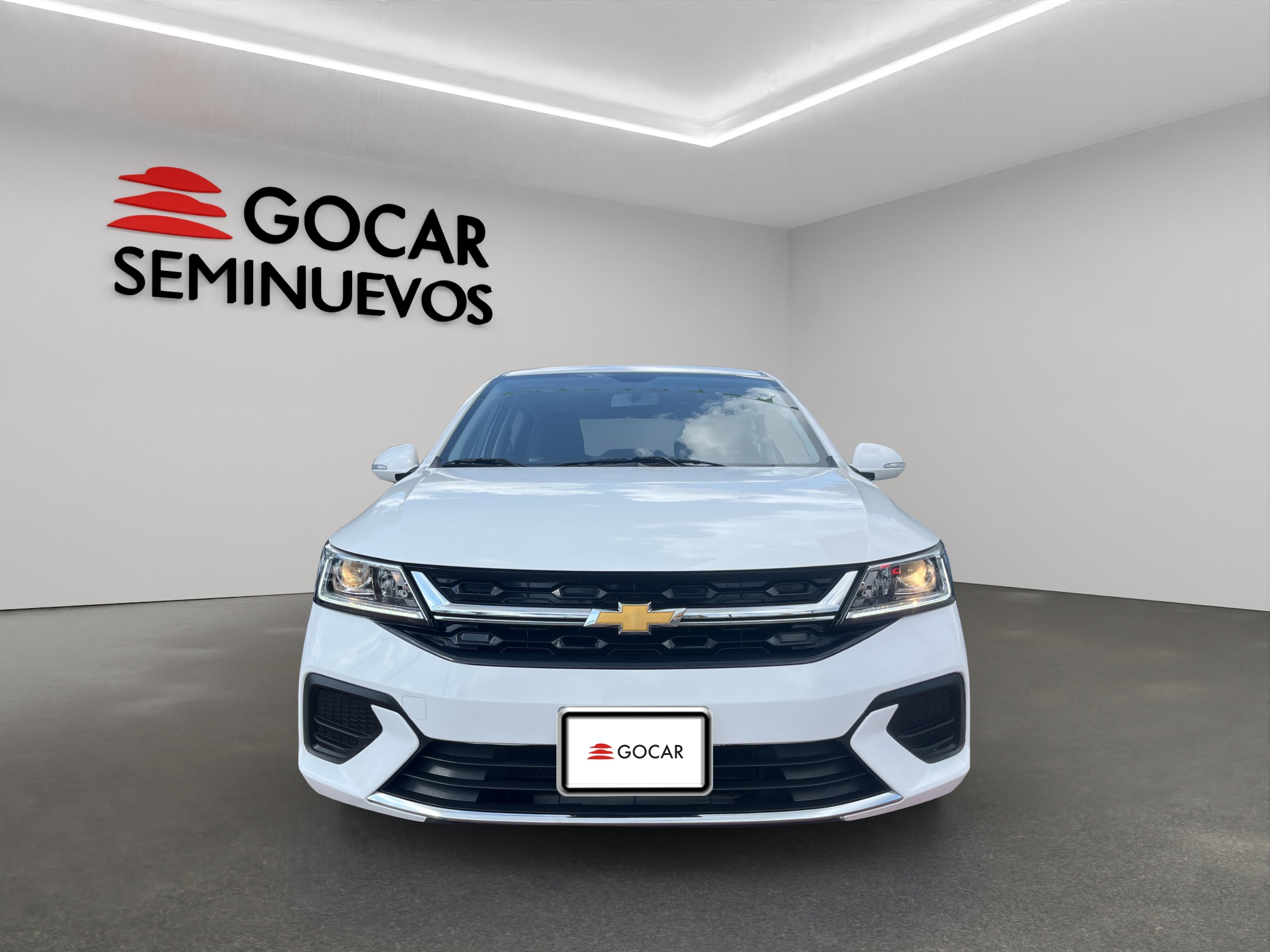 Galeria