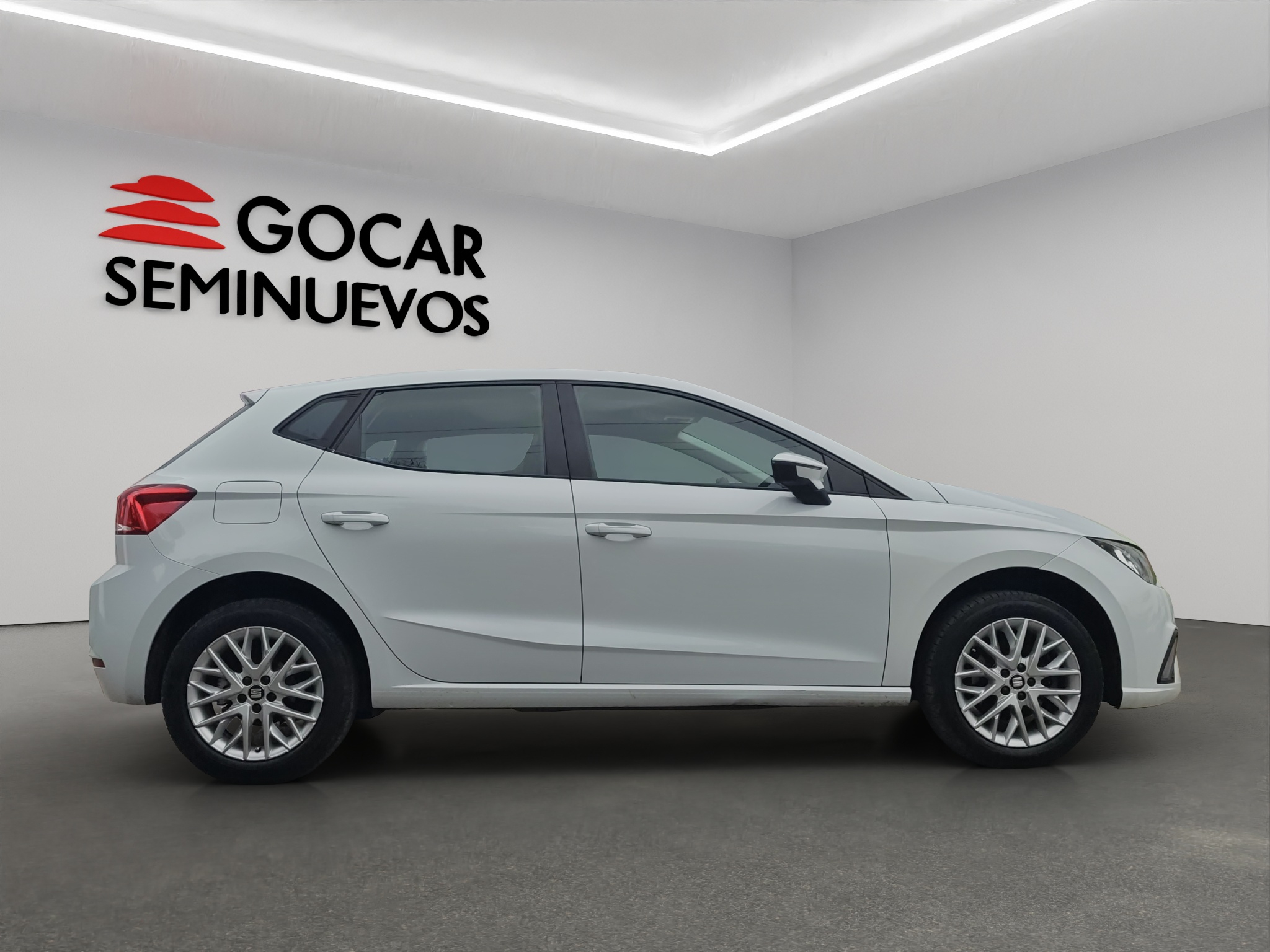 Galeria