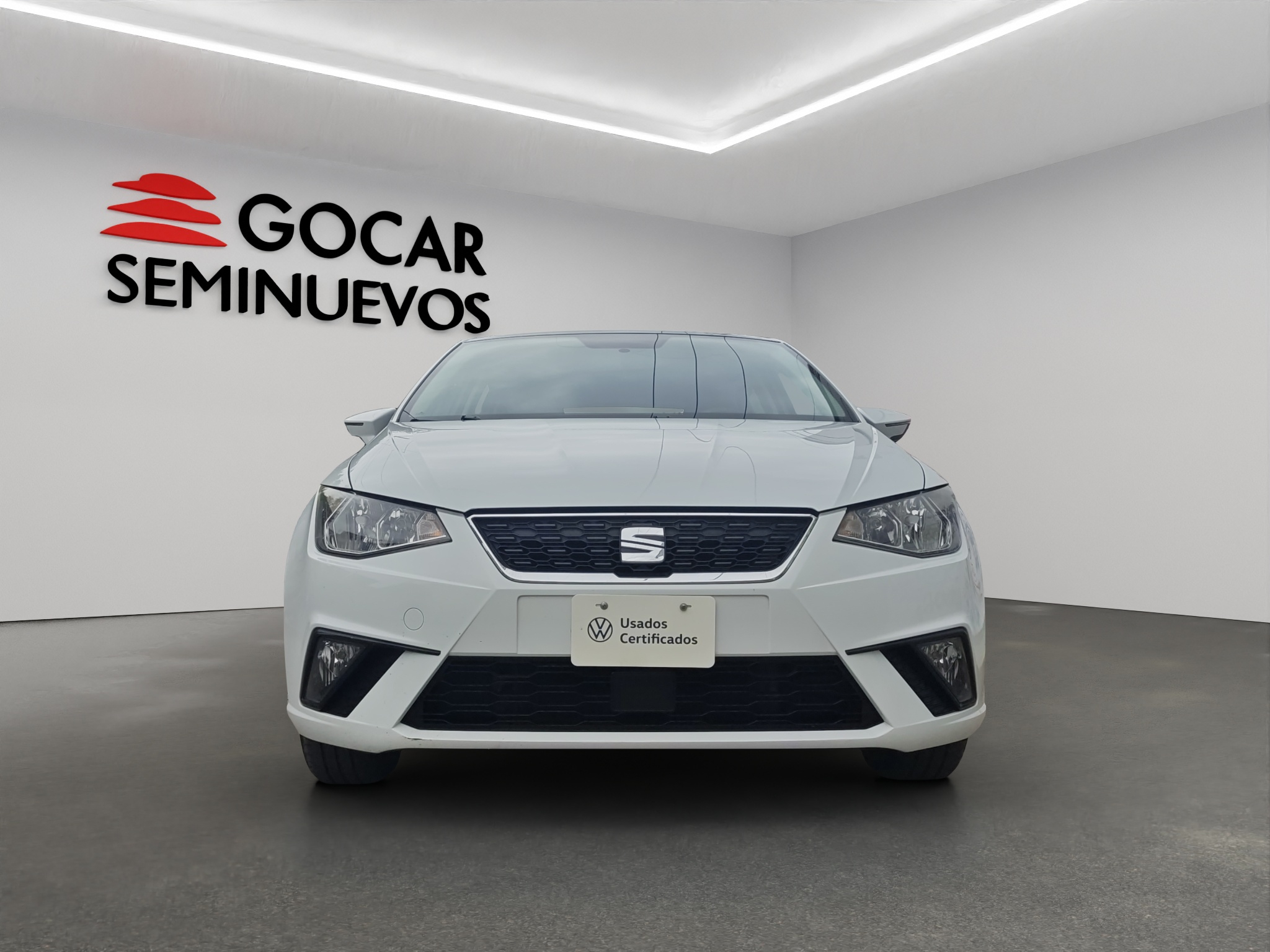Galeria