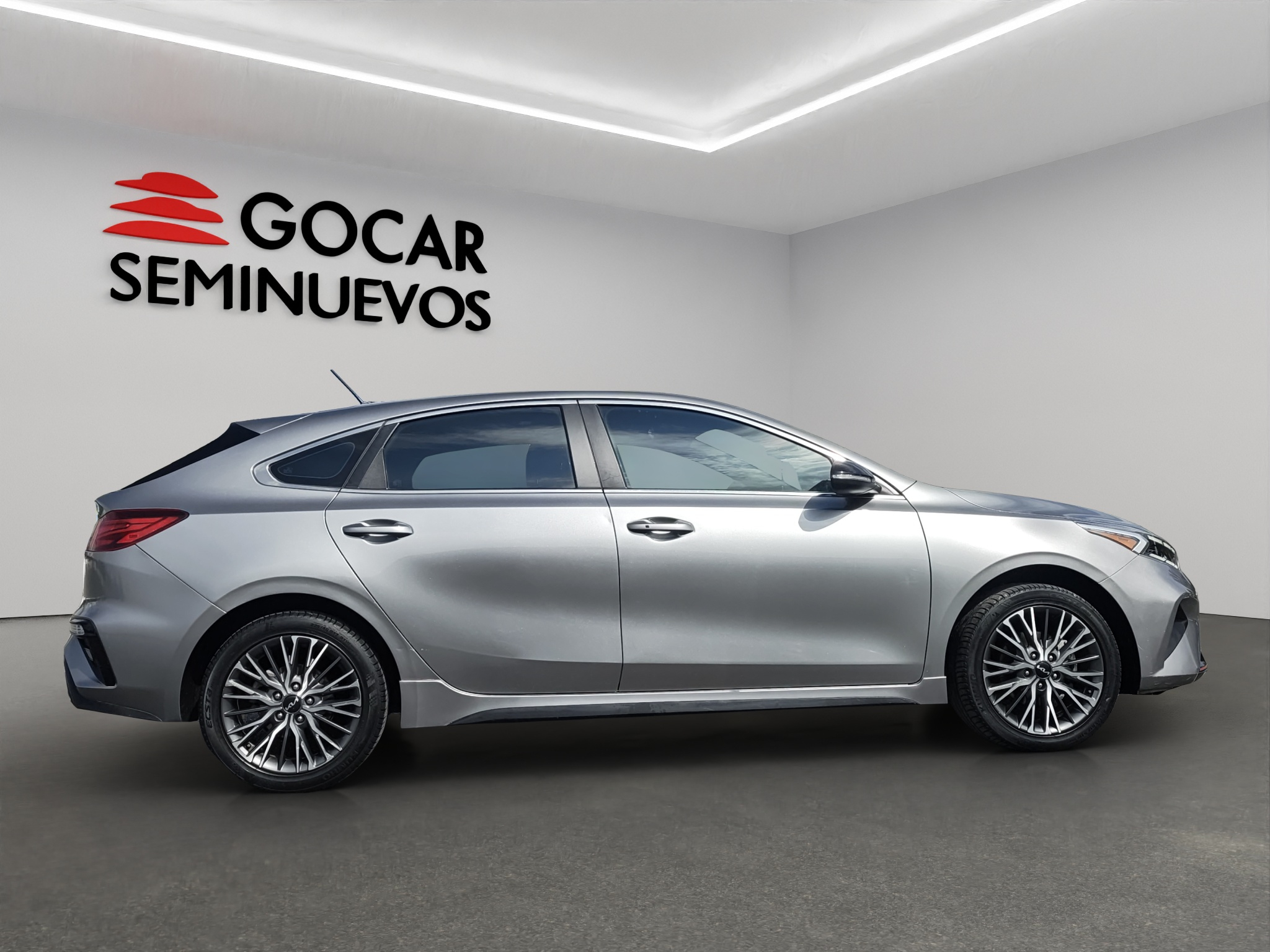 Galeria