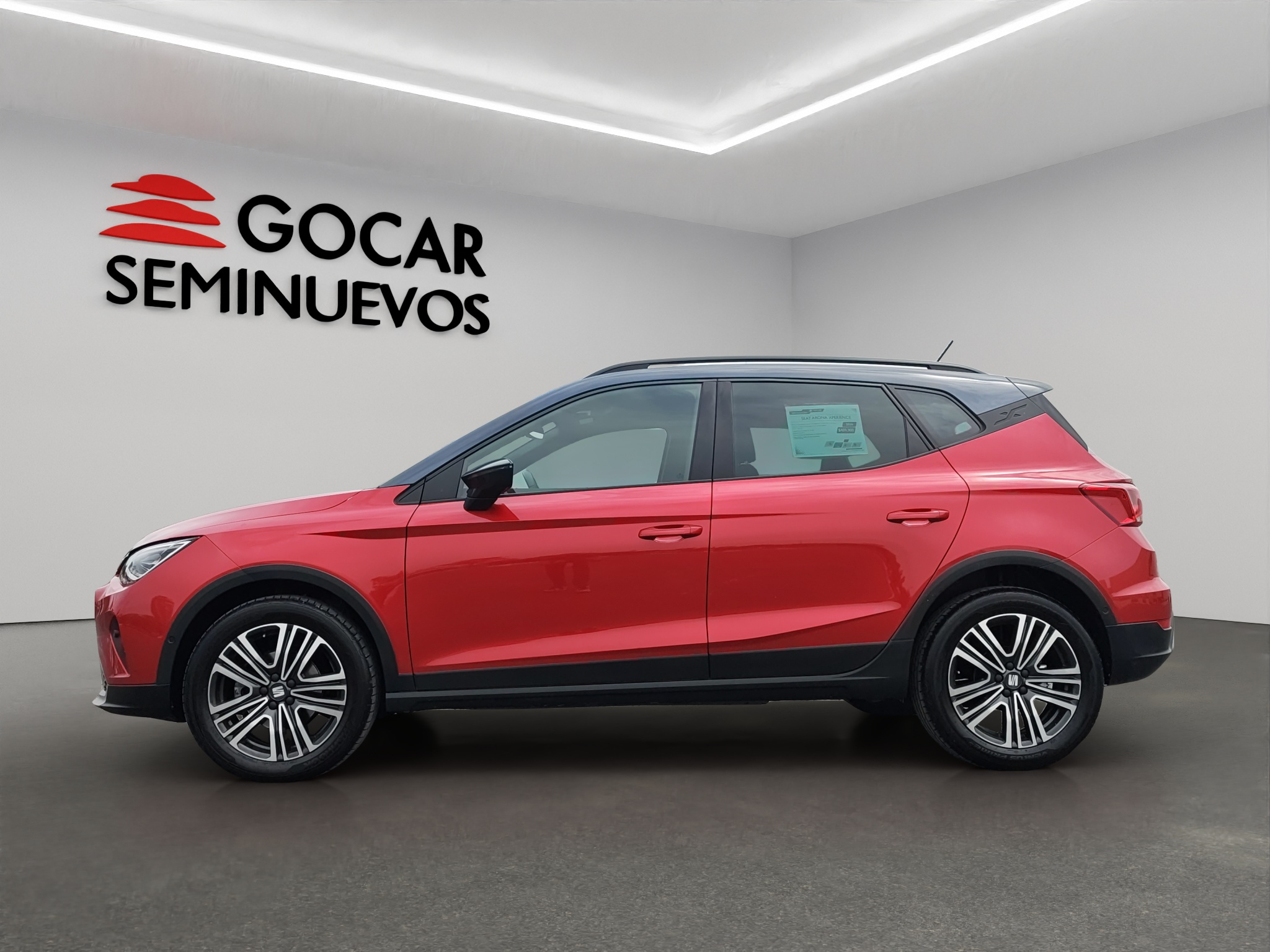 Galeria