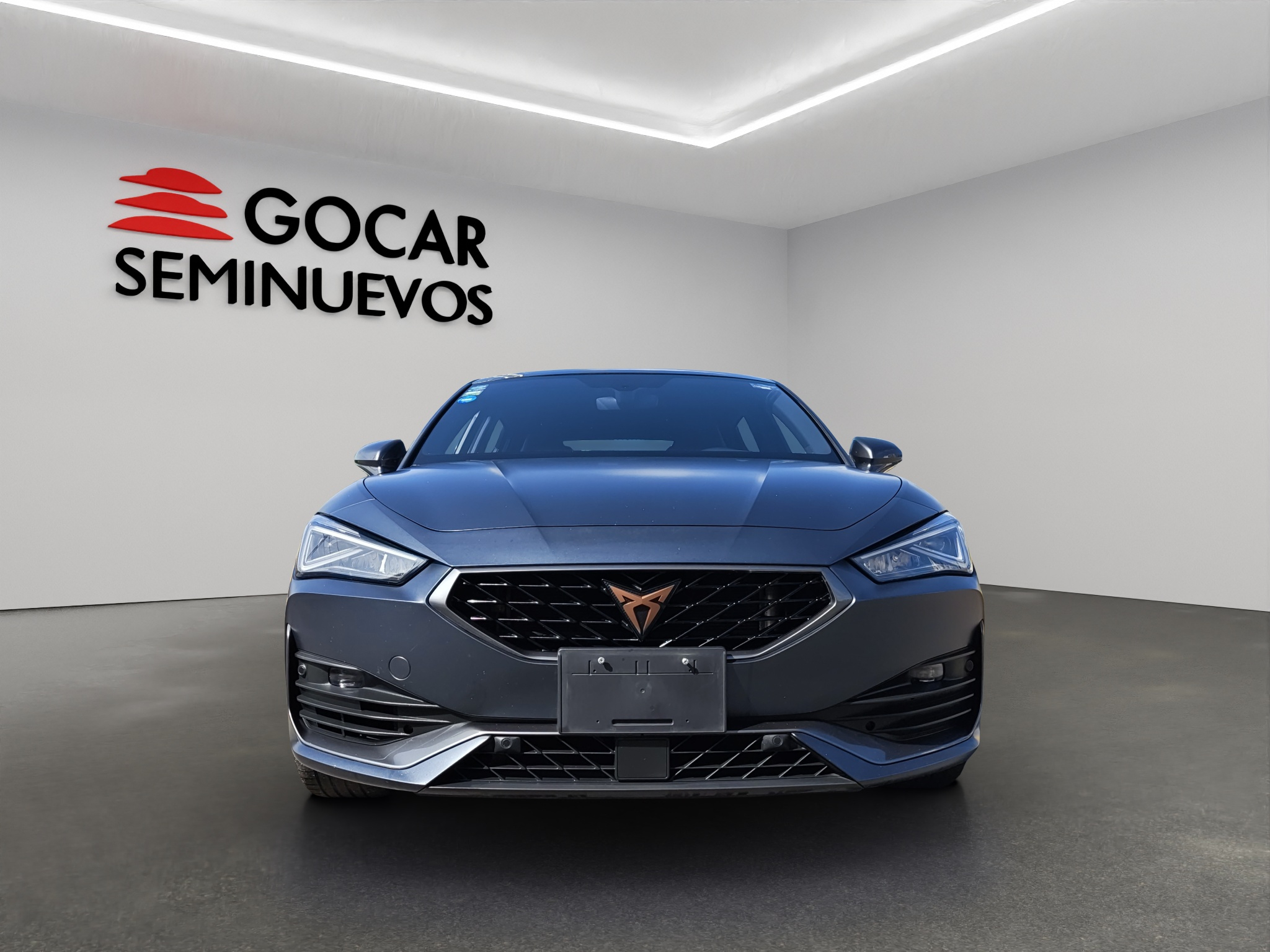 Galeria
