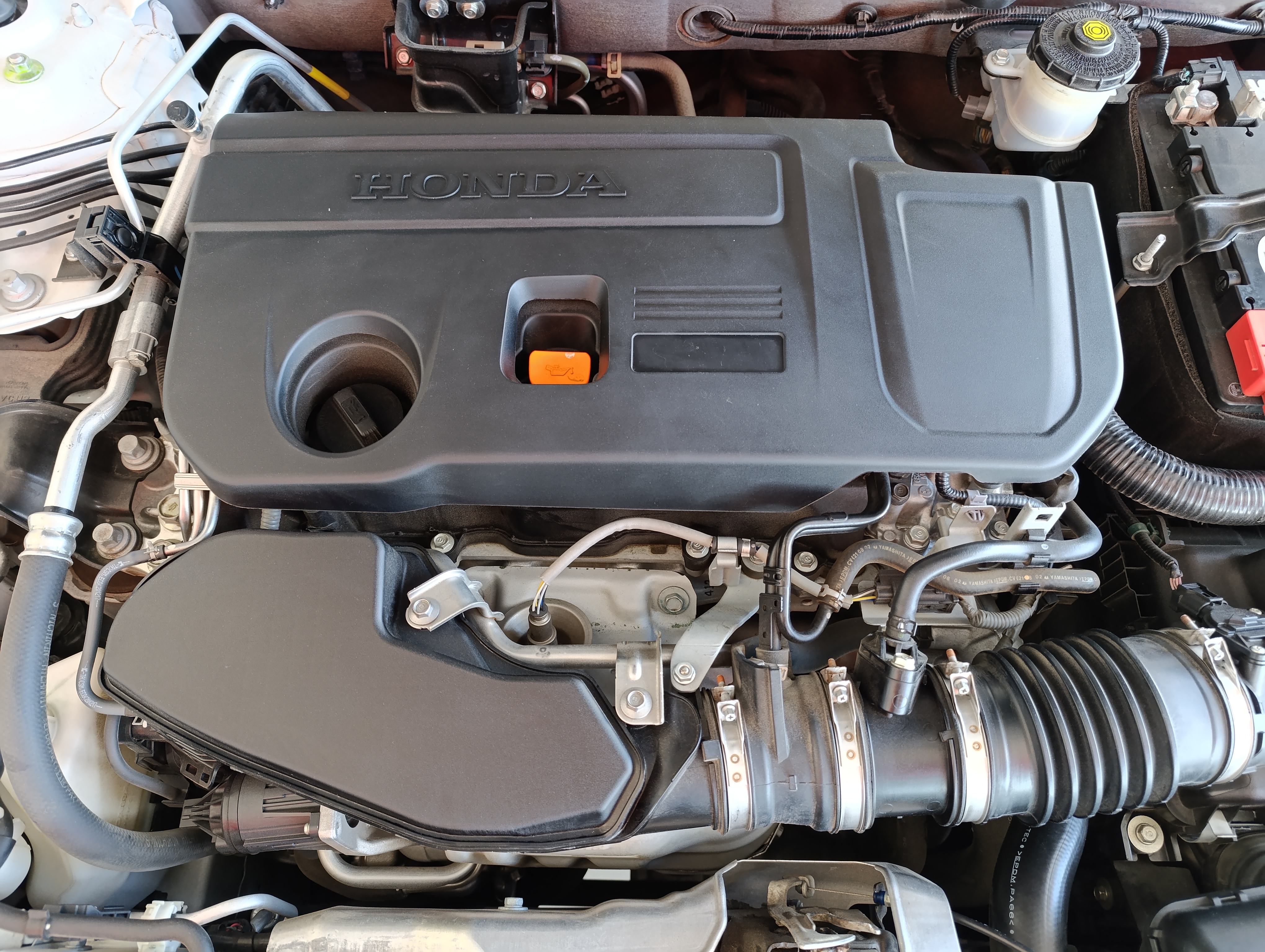 Honda ACCORD Lateral izquierdo 26