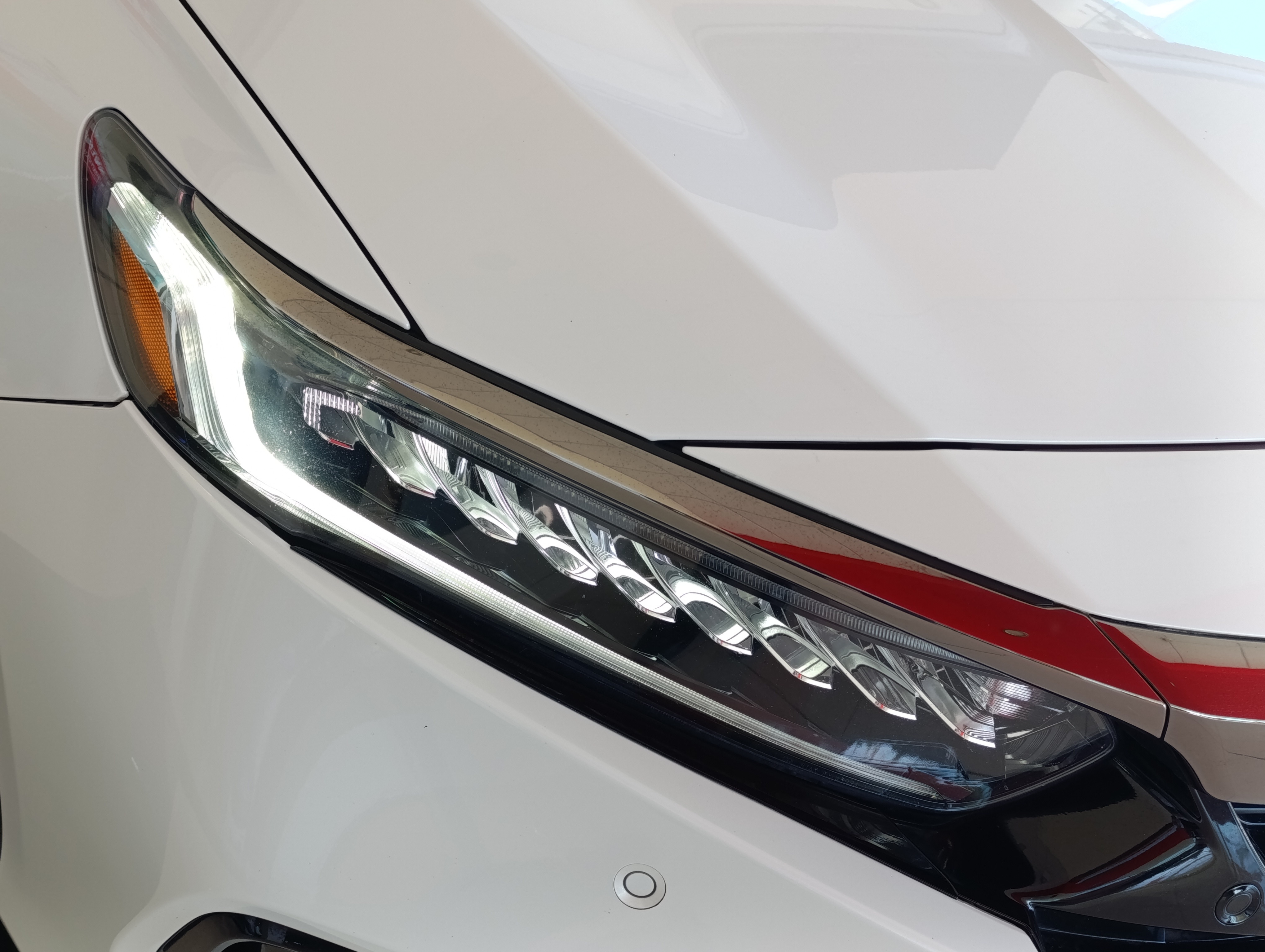 Honda ACCORD Lateral izquierdo 24