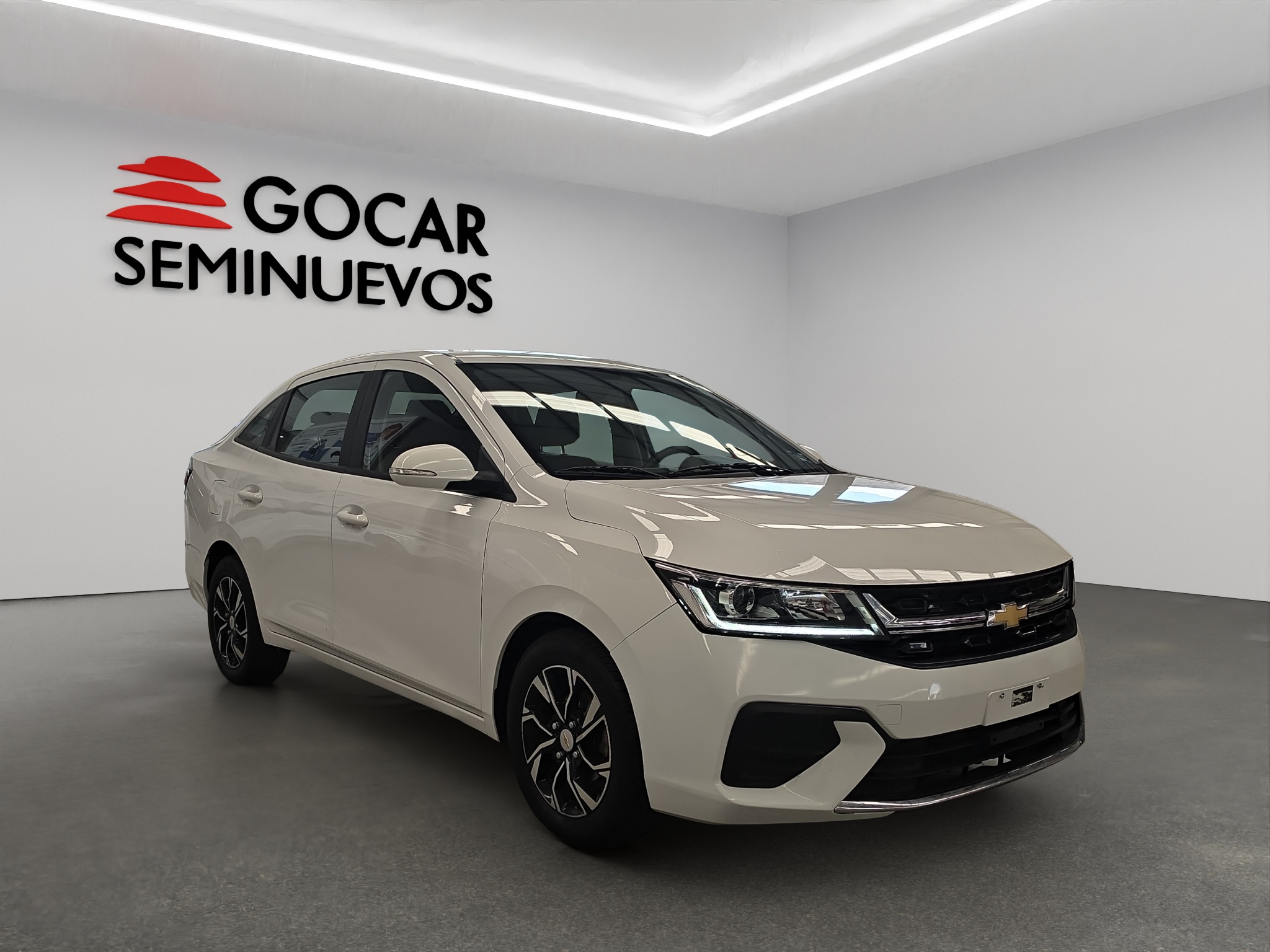 Galeria