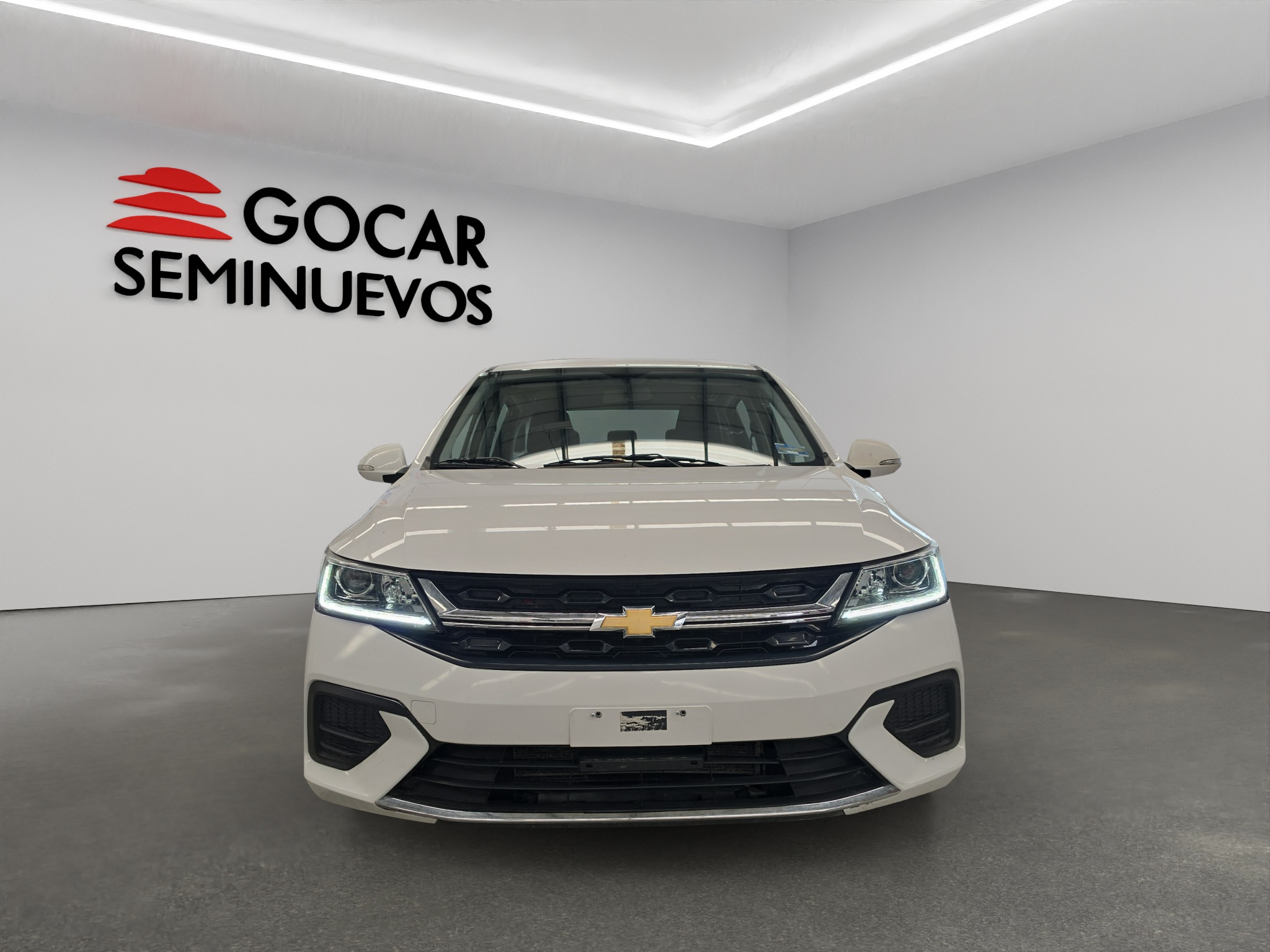 Galeria