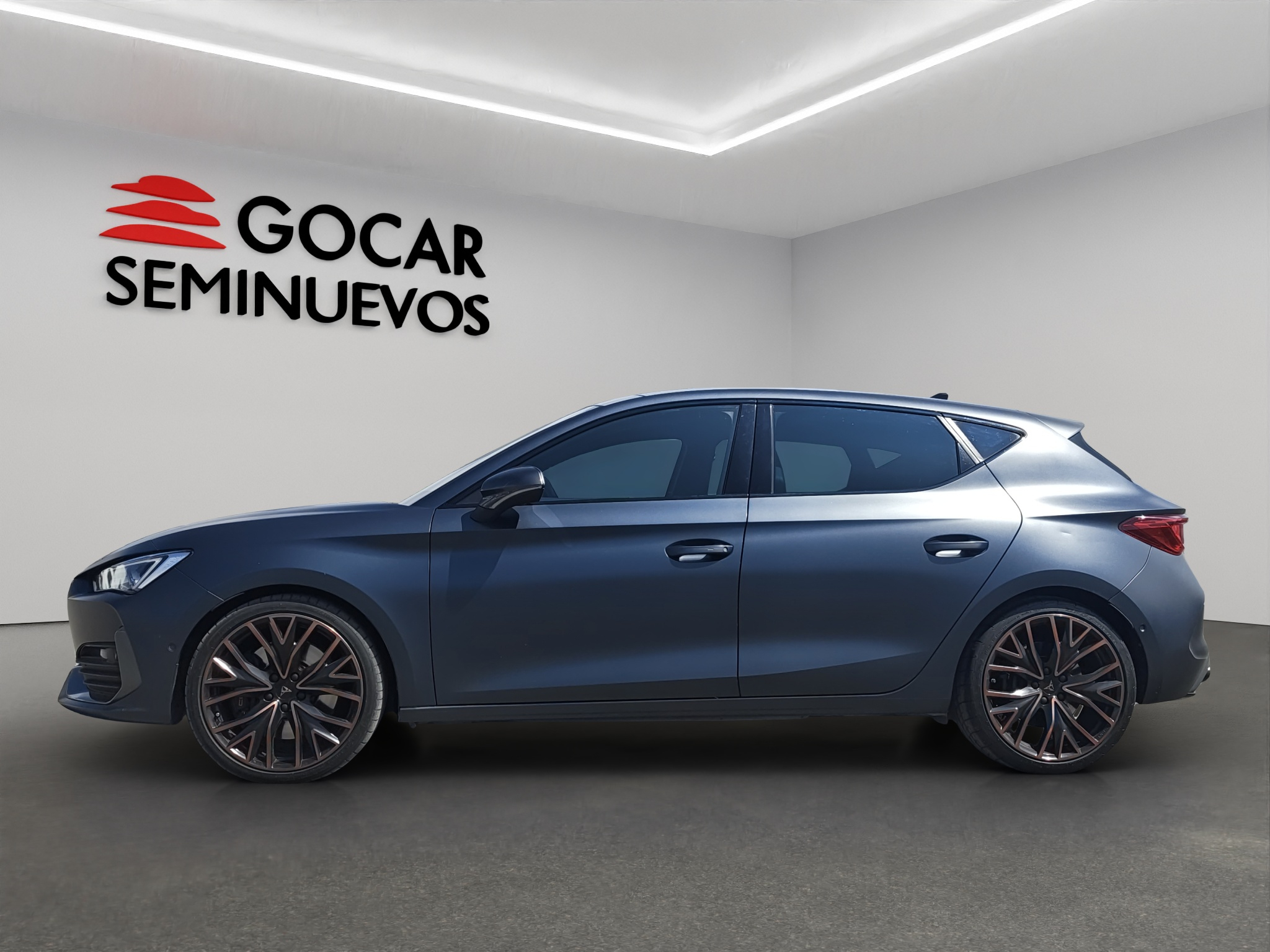 Galeria