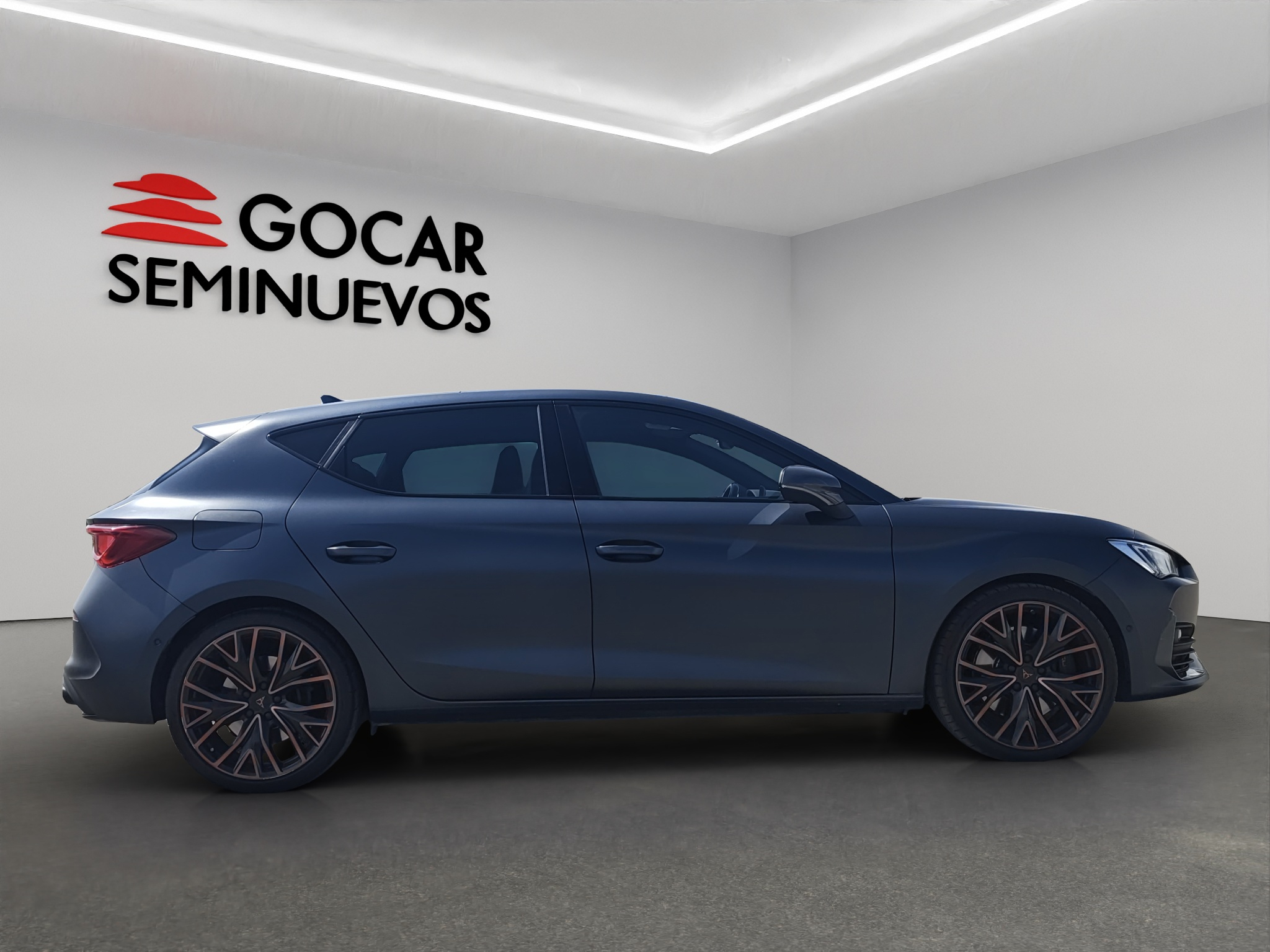Galeria