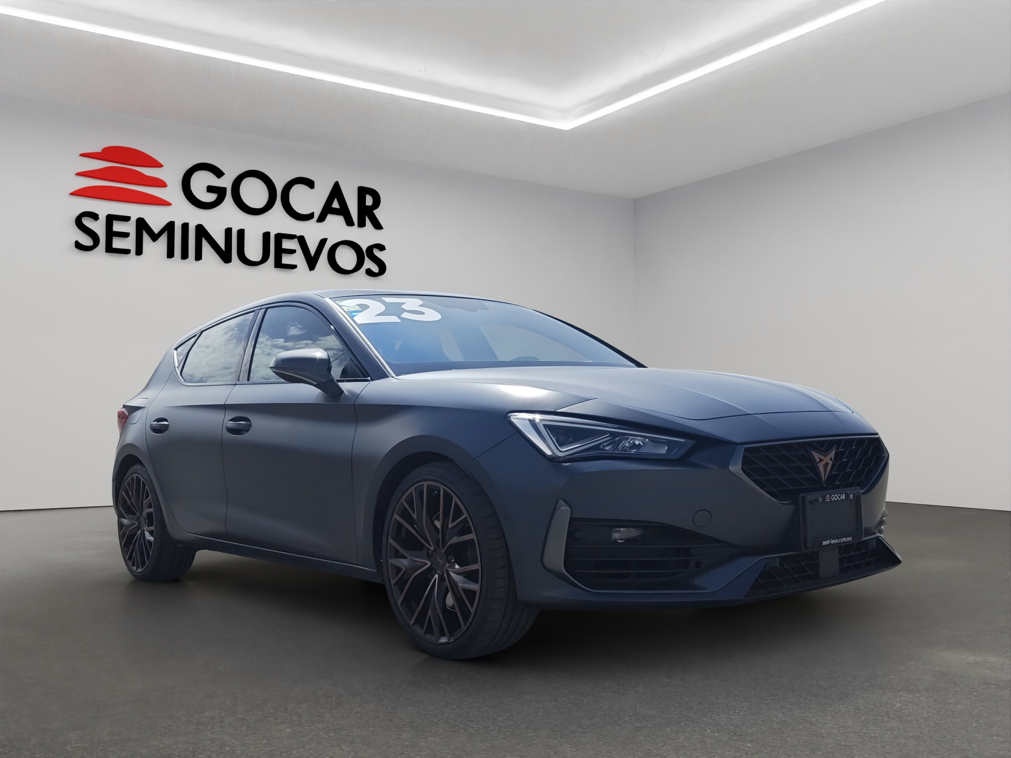 Galeria