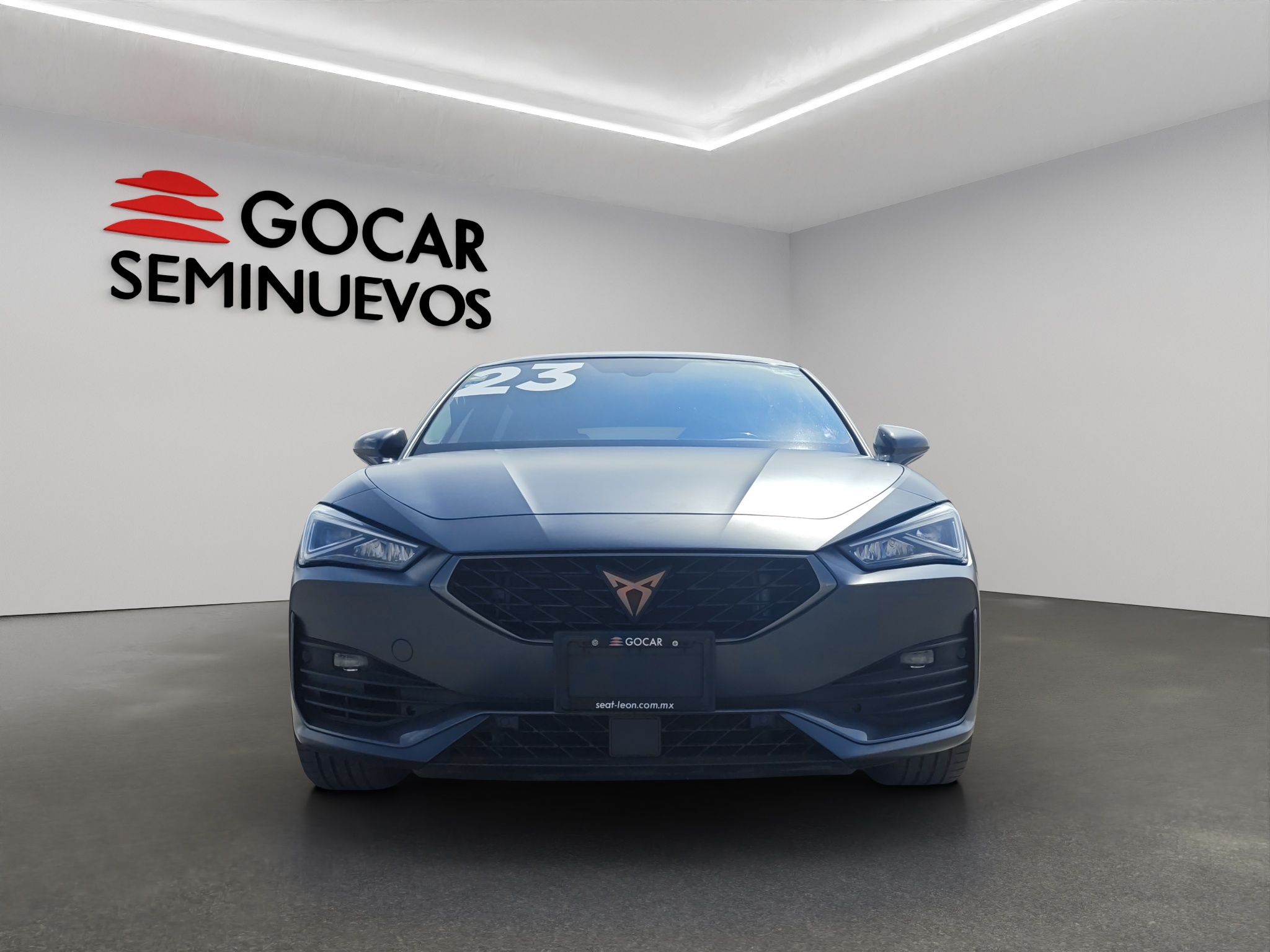 Galeria