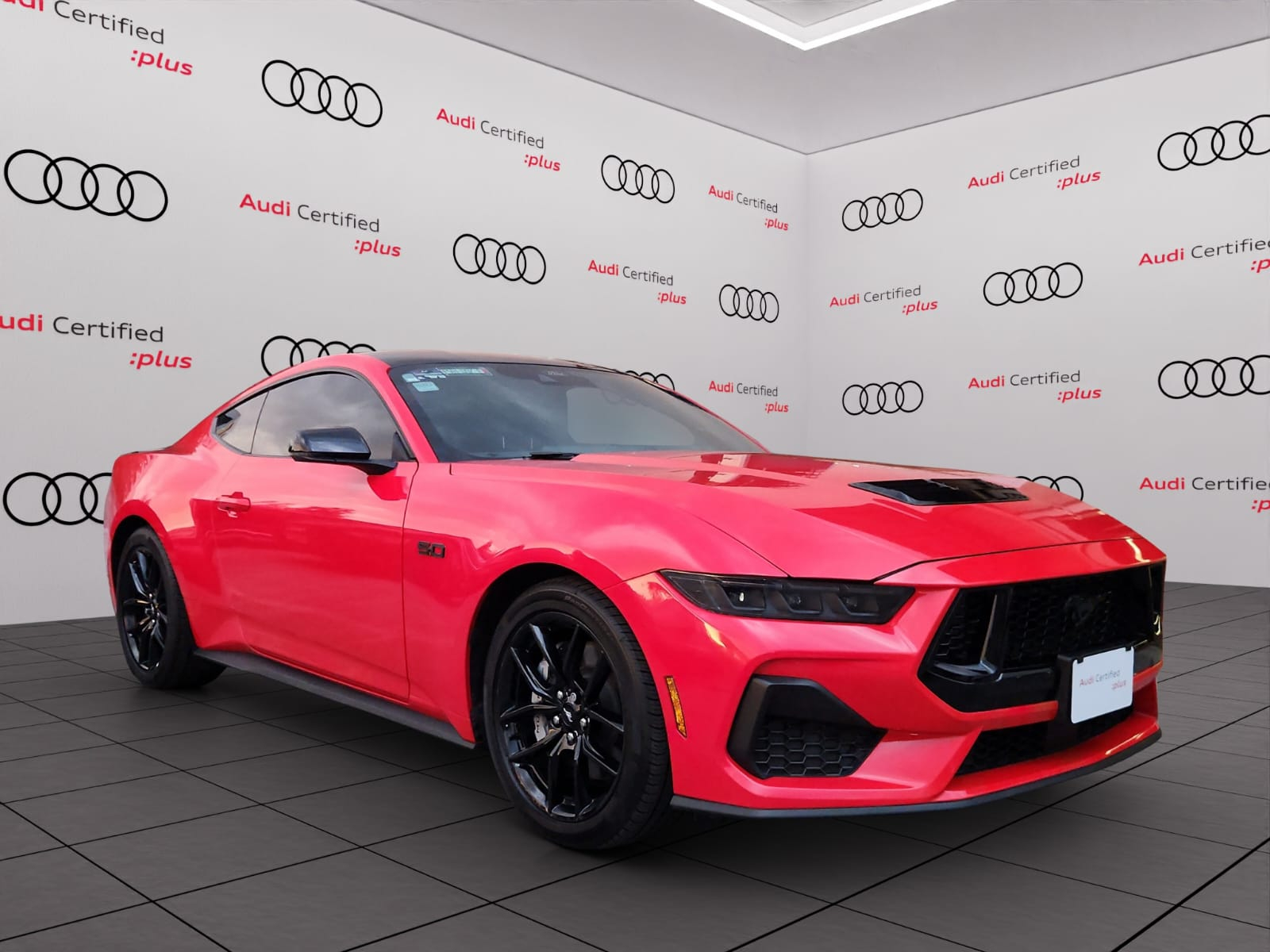 Mustang