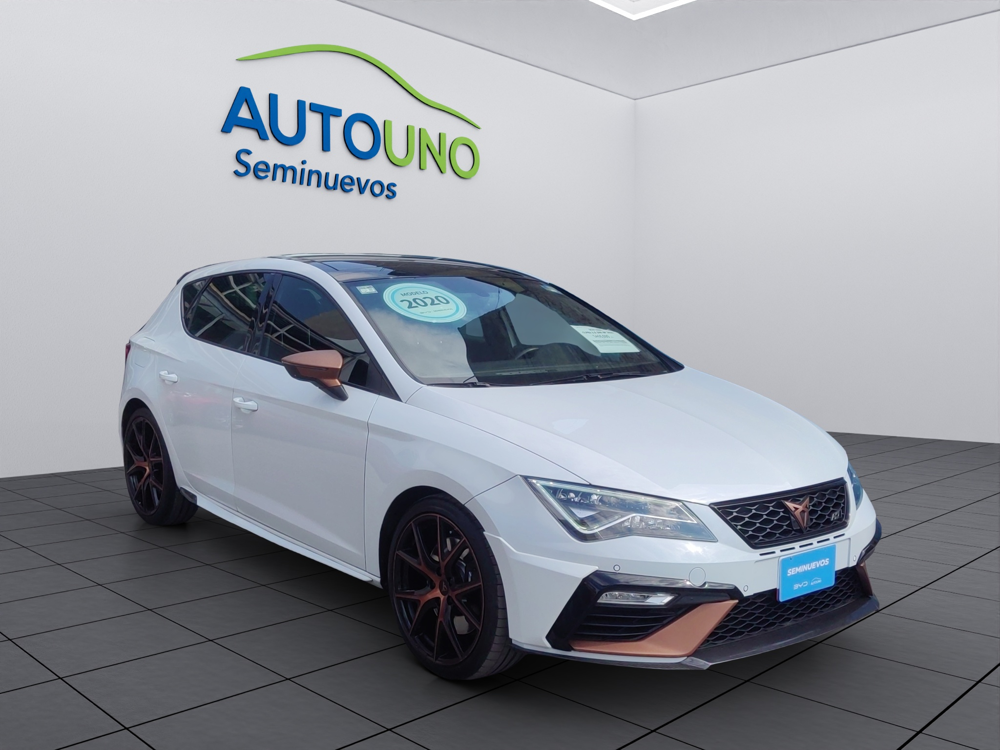 LEON CUPRA