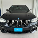 BMW X3 Llantas 31