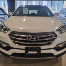 HYUNDAI SANTA FE Frente 43