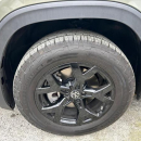 VOLKSWAGEN TERAMONT Frente 15