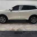 FORD TERRITORY Frente 6